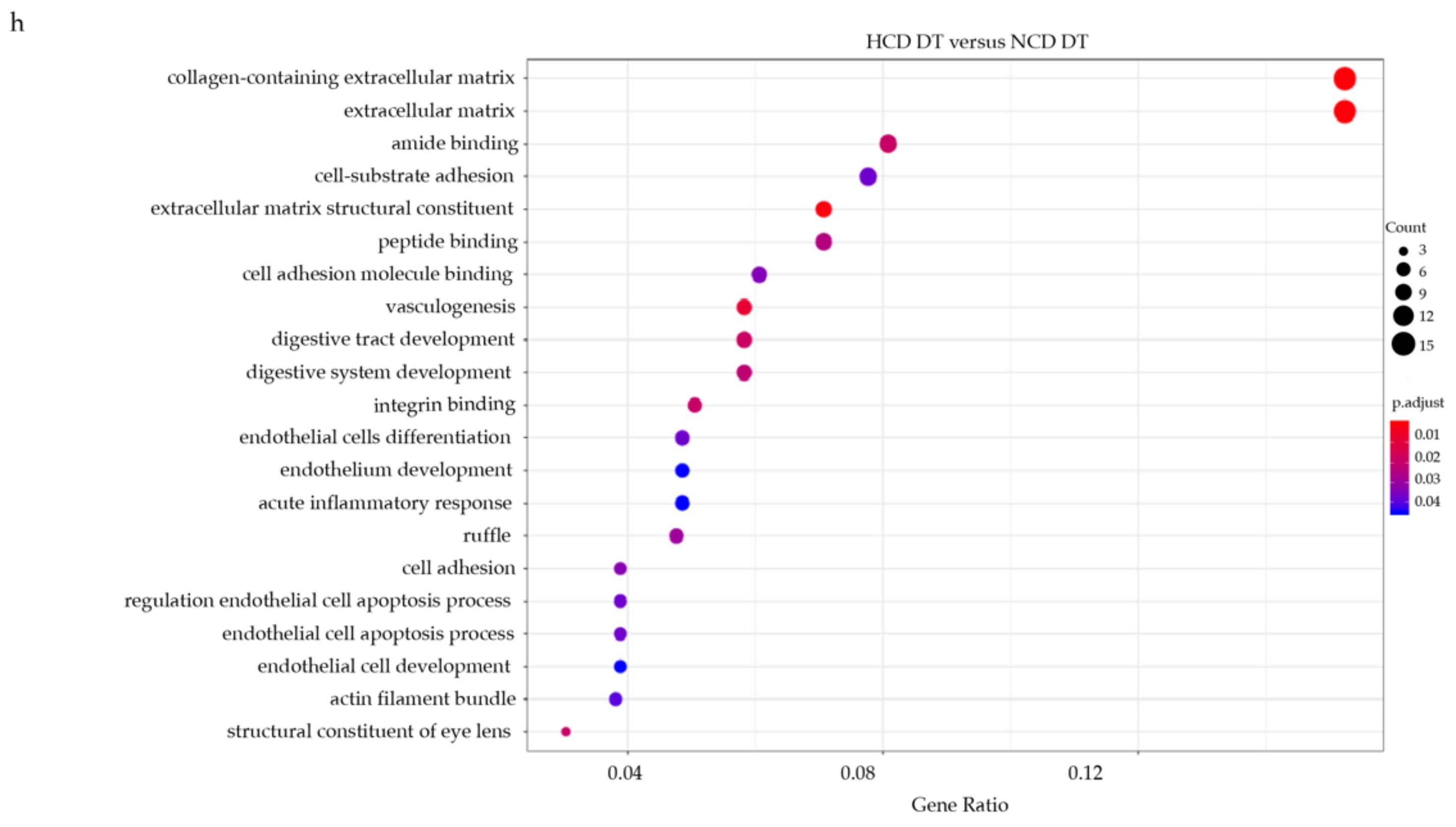 Ijms 23 01796 g003b Ijms 23 01796 g003b