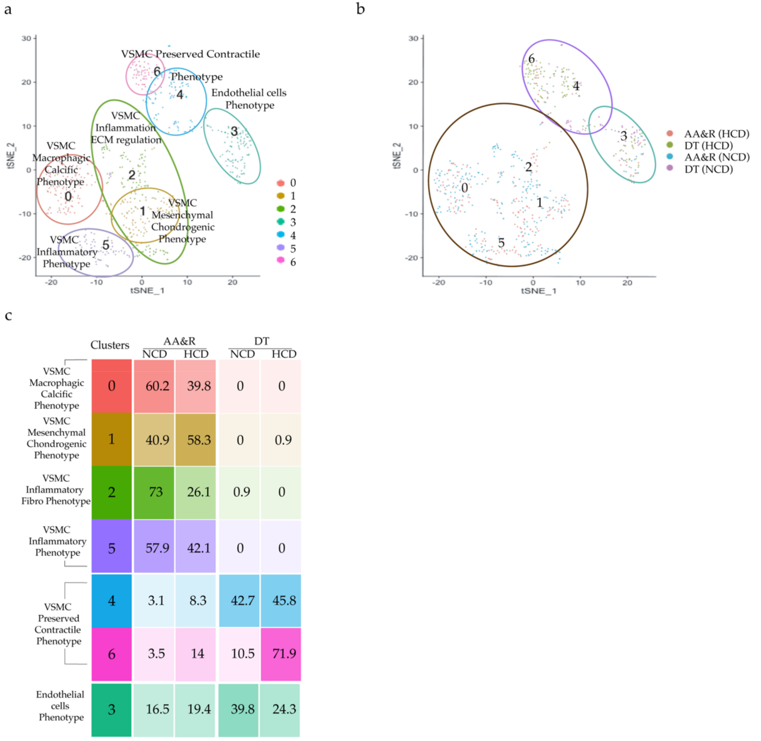 Ijms 23 01796 g004 Ijms 23 01796 g004