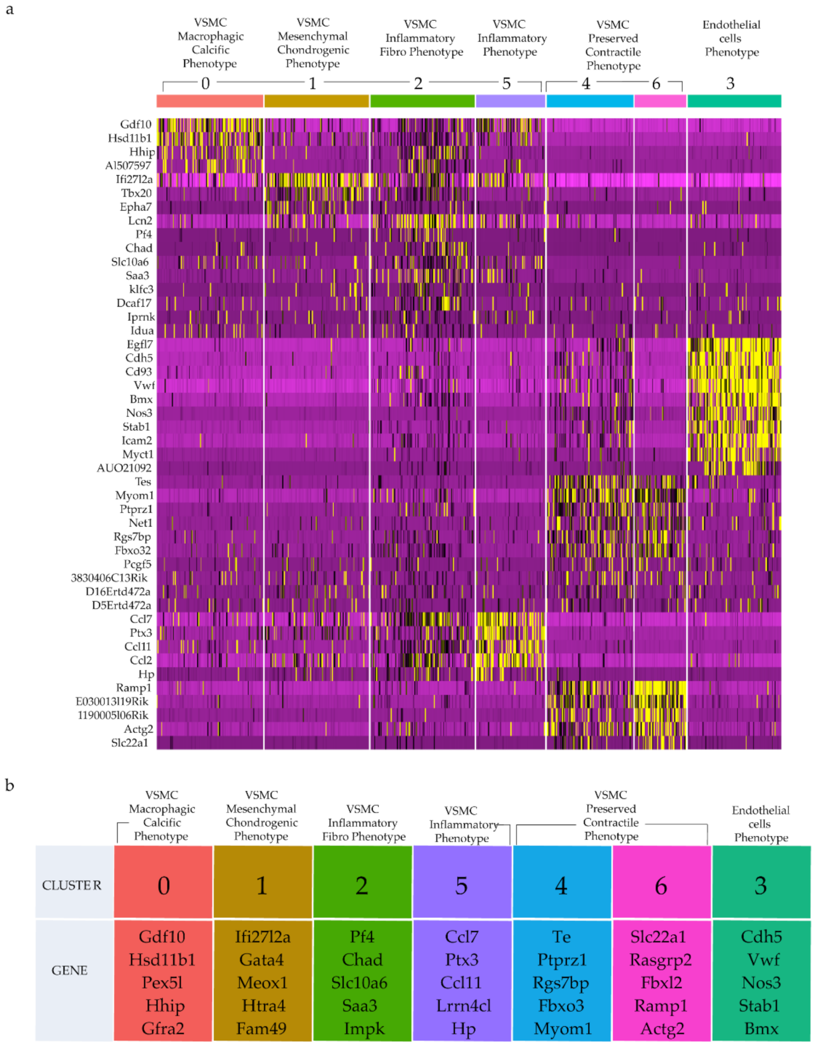 Ijms 23 01796 g005 Ijms 23 01796 g005