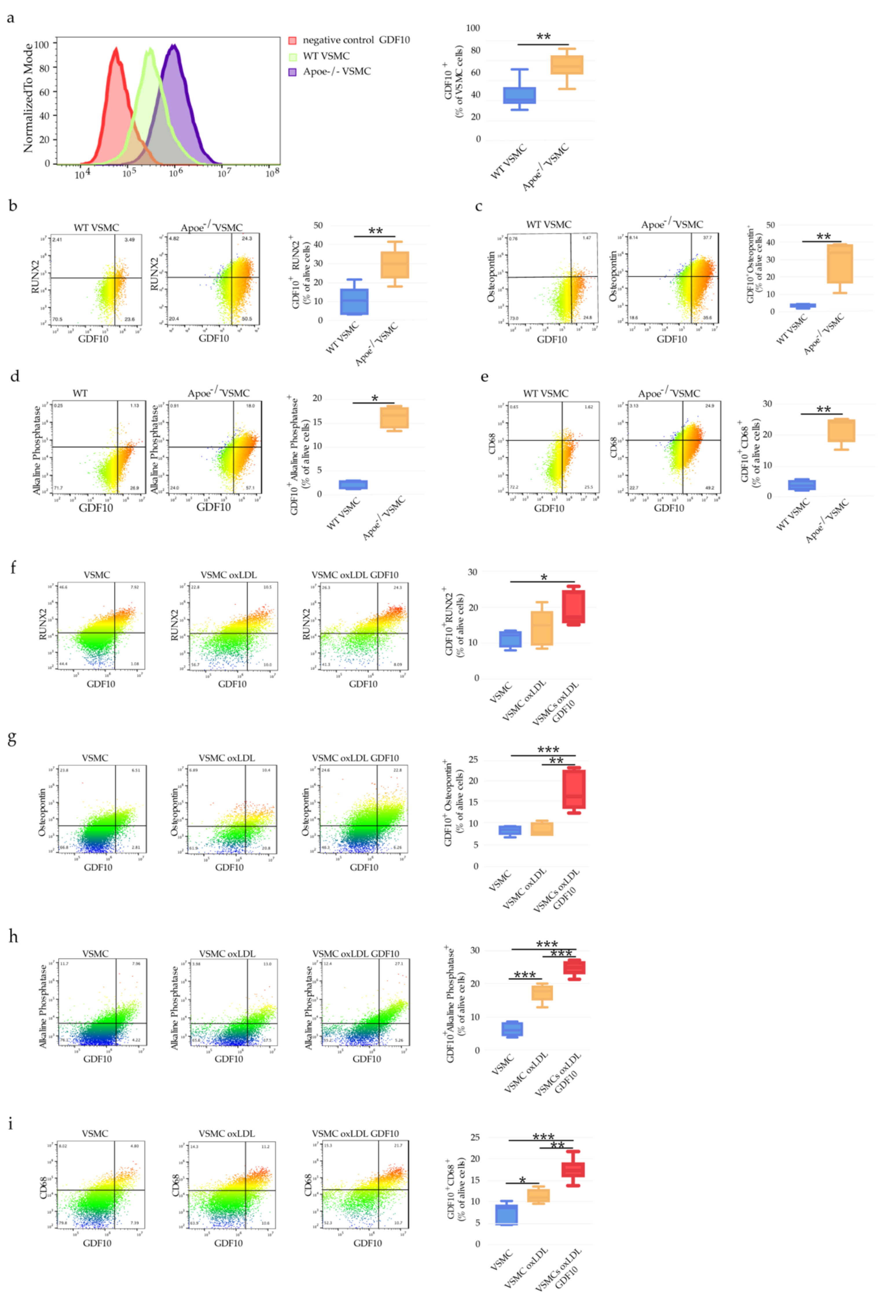 Ijms 23 01796 g008 Ijms 23 01796 g008