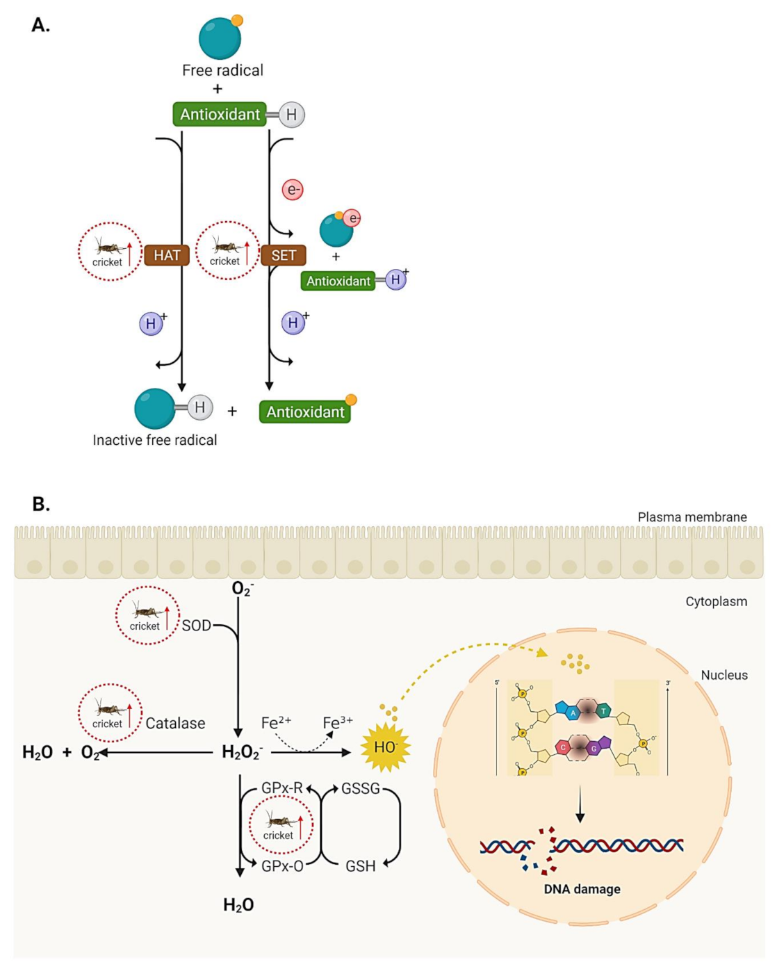 Ijms 23 01801 g003 Ijms 23 01801 g003