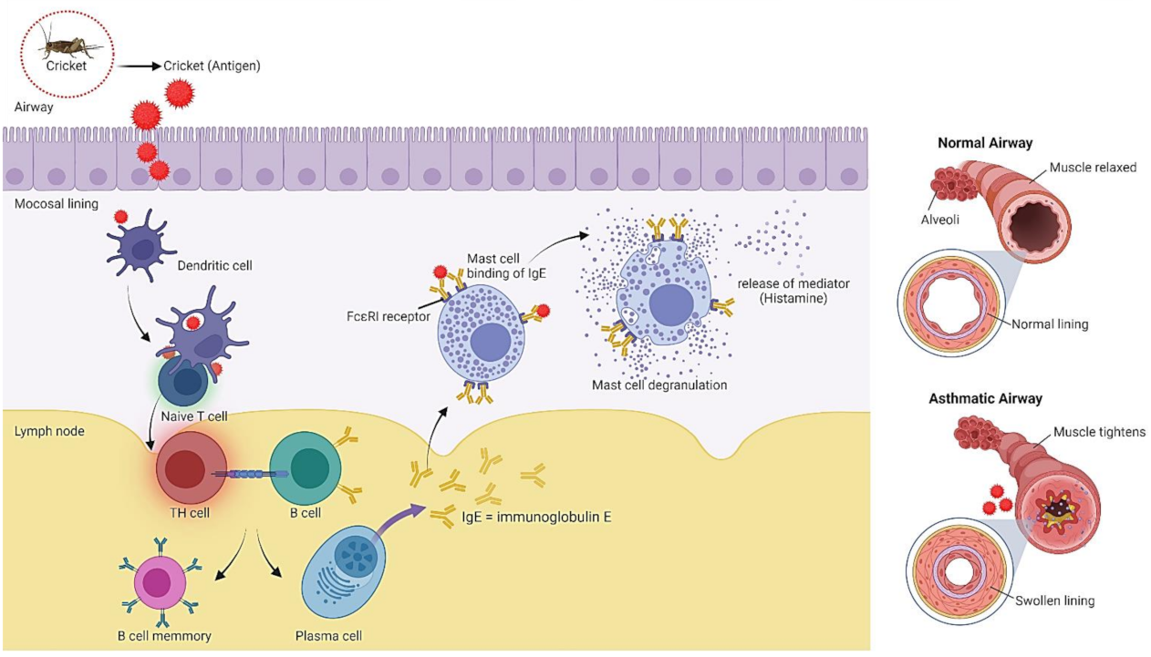 Ijms 23 01801 g007 Ijms 23 01801 g007