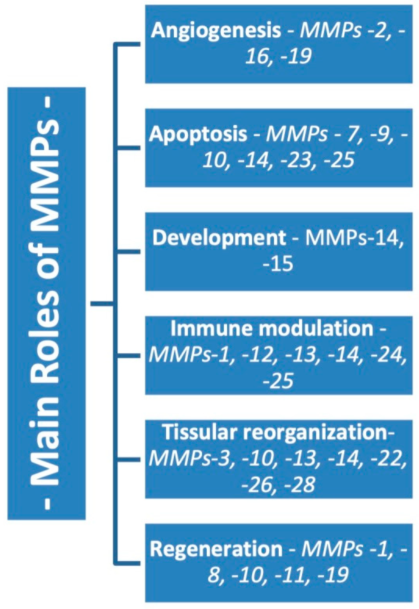 Ijms 23 01806 g001 Ijms 23 01806 g001