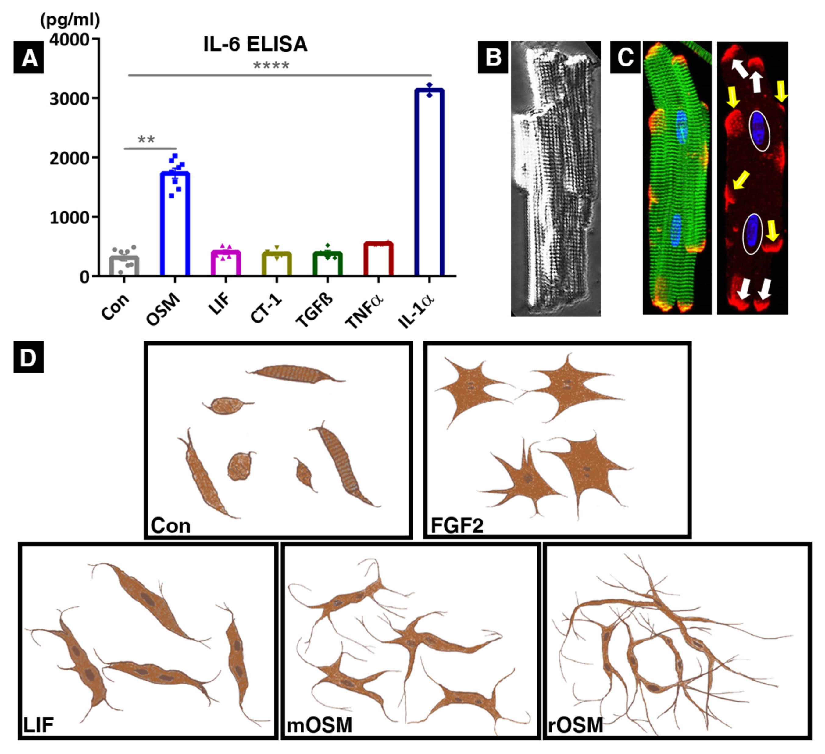 Ijms 23 01811 g002 Ijms 23 01811 g002