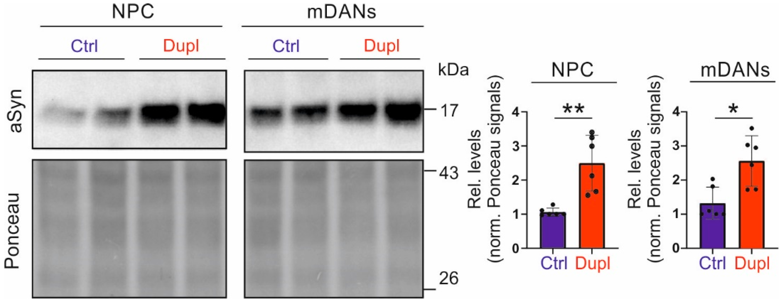 Ijms 23 01812 g003 550