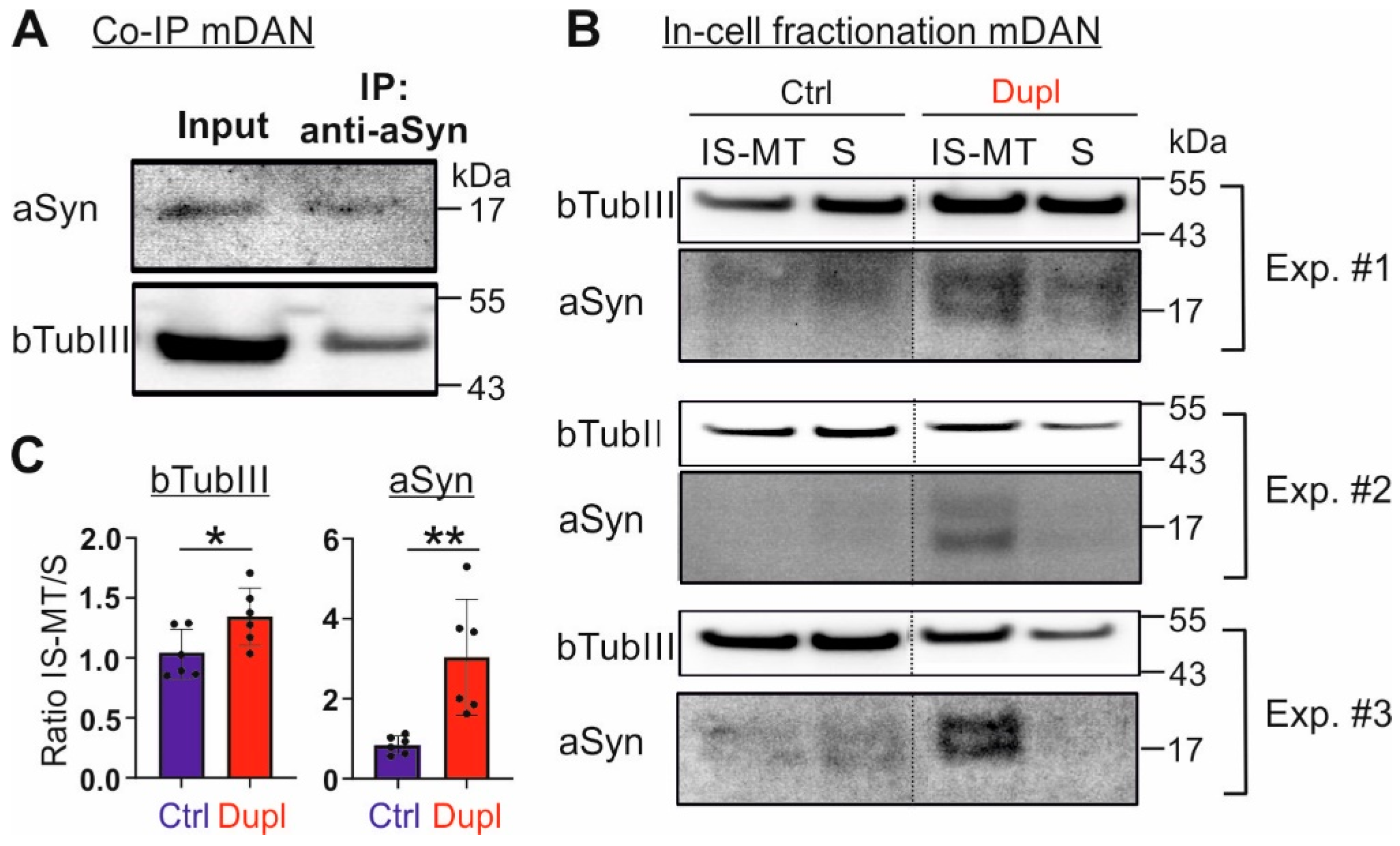 Ijms 23 01812 g005 550