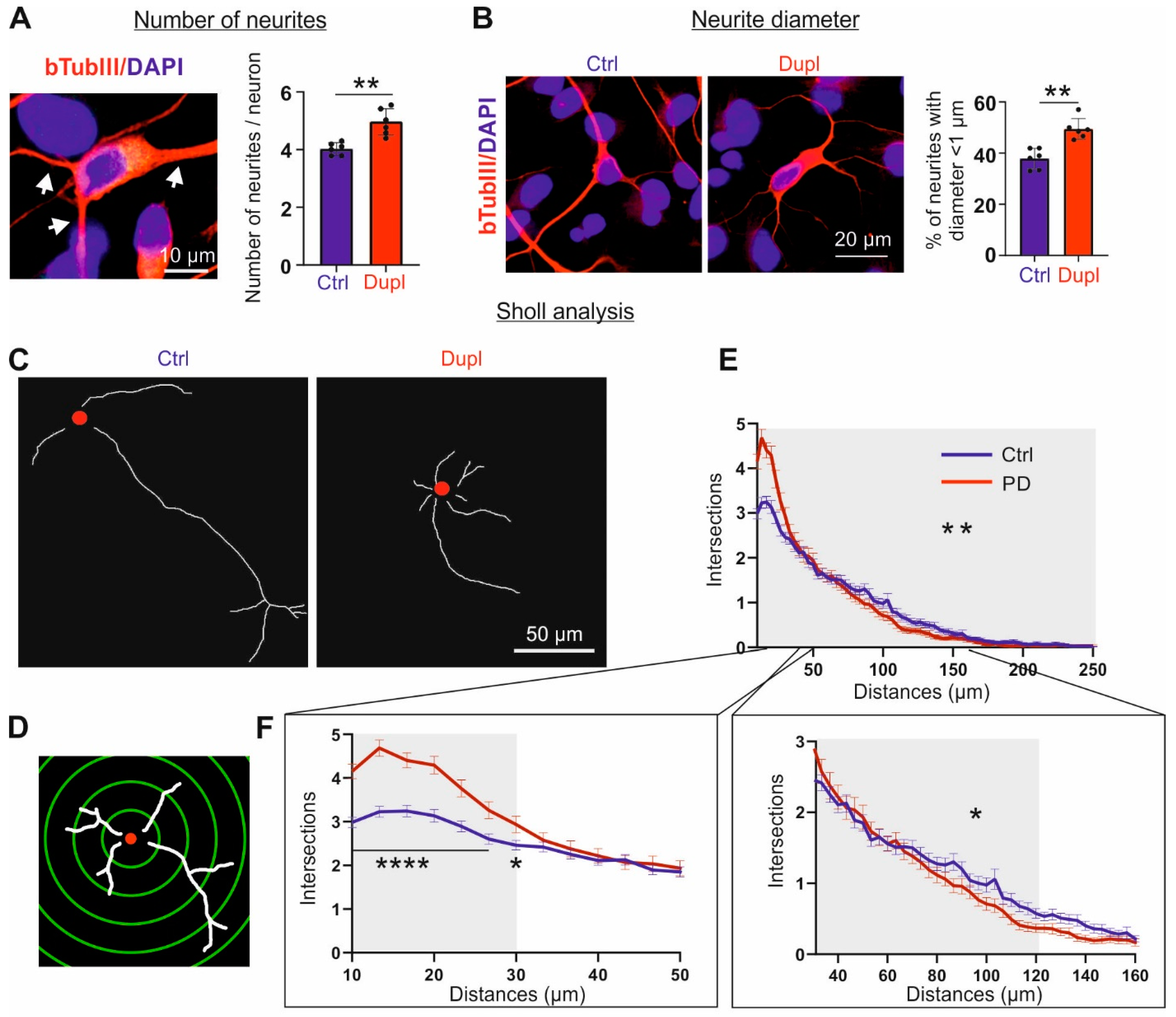 Ijms 23 01812 g006 550