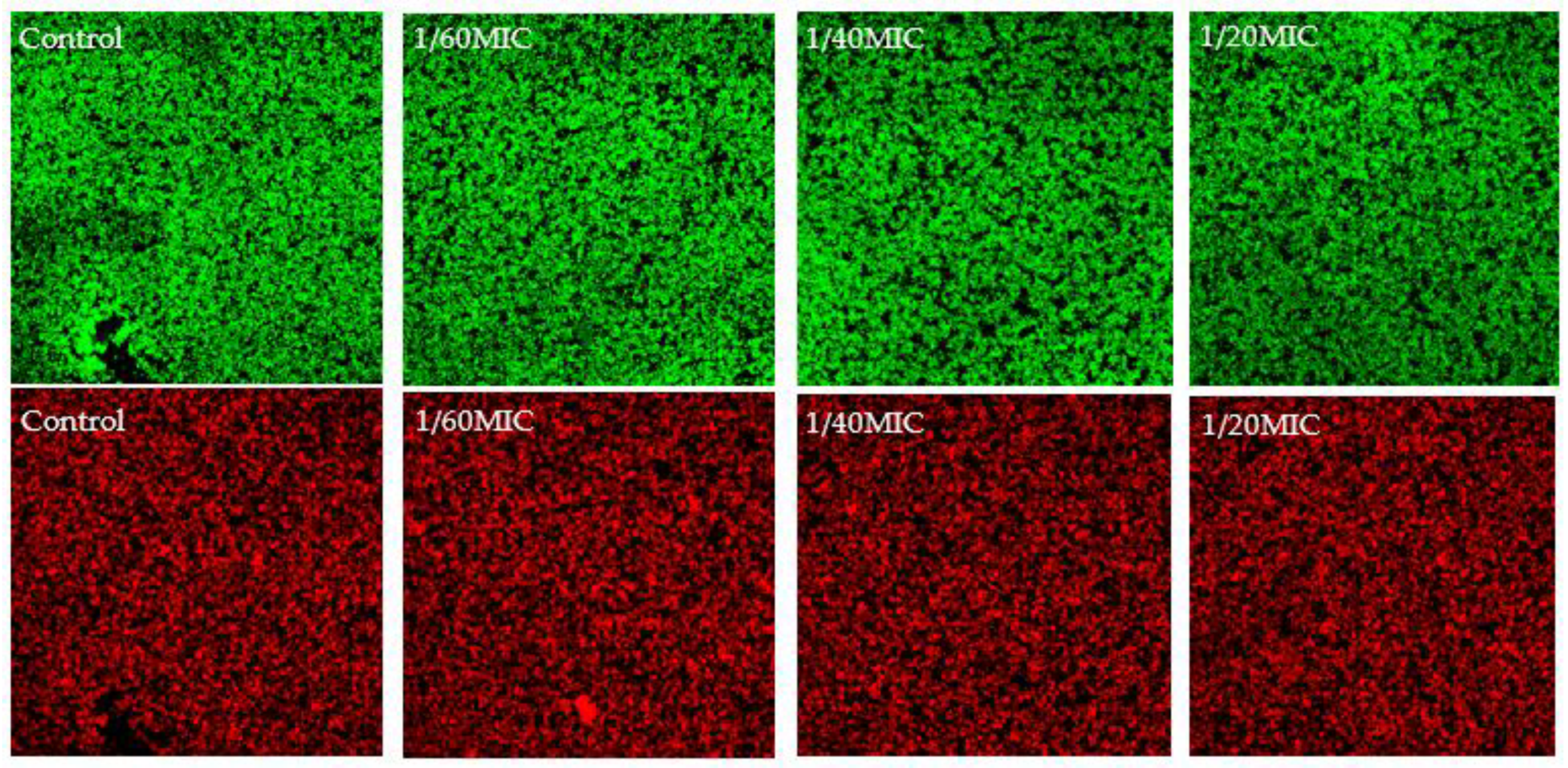 Ijms 23 01816 g003 550