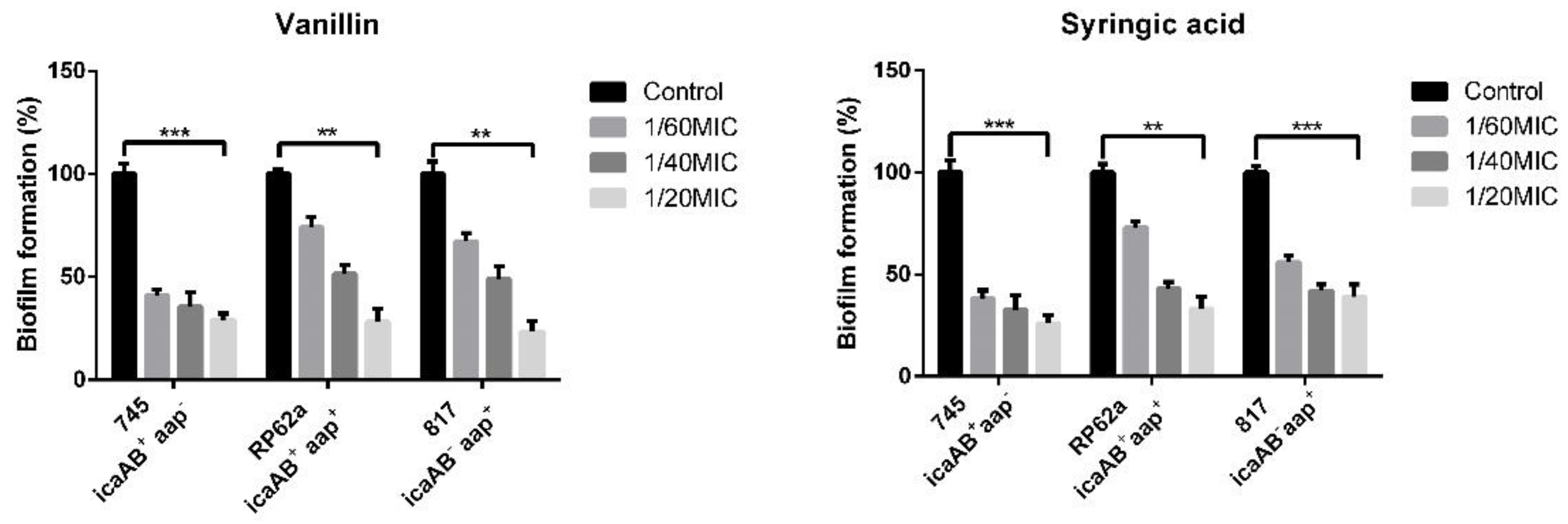 Ijms 23 01816 g004 550