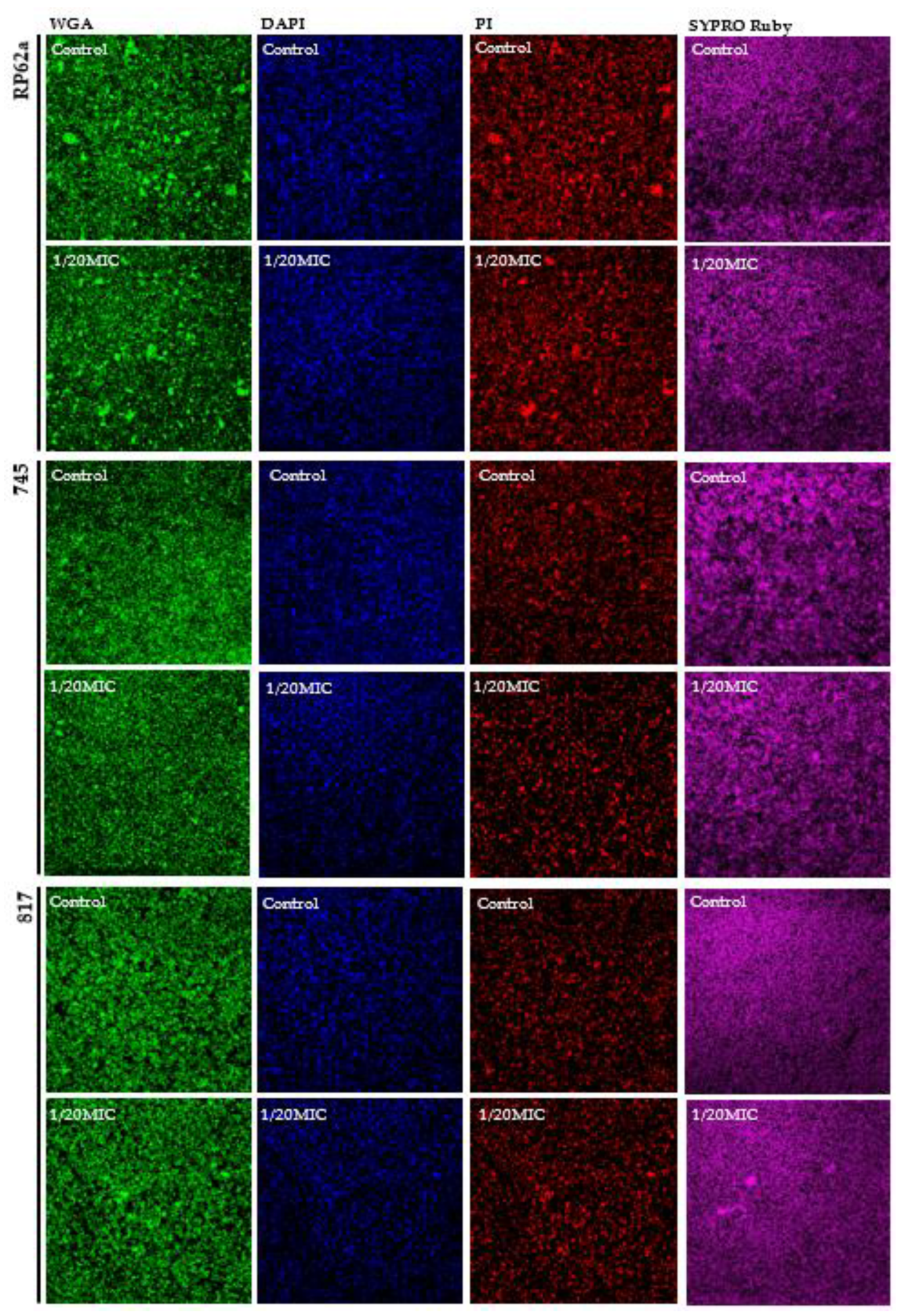 Ijms 23 01816 g008 550