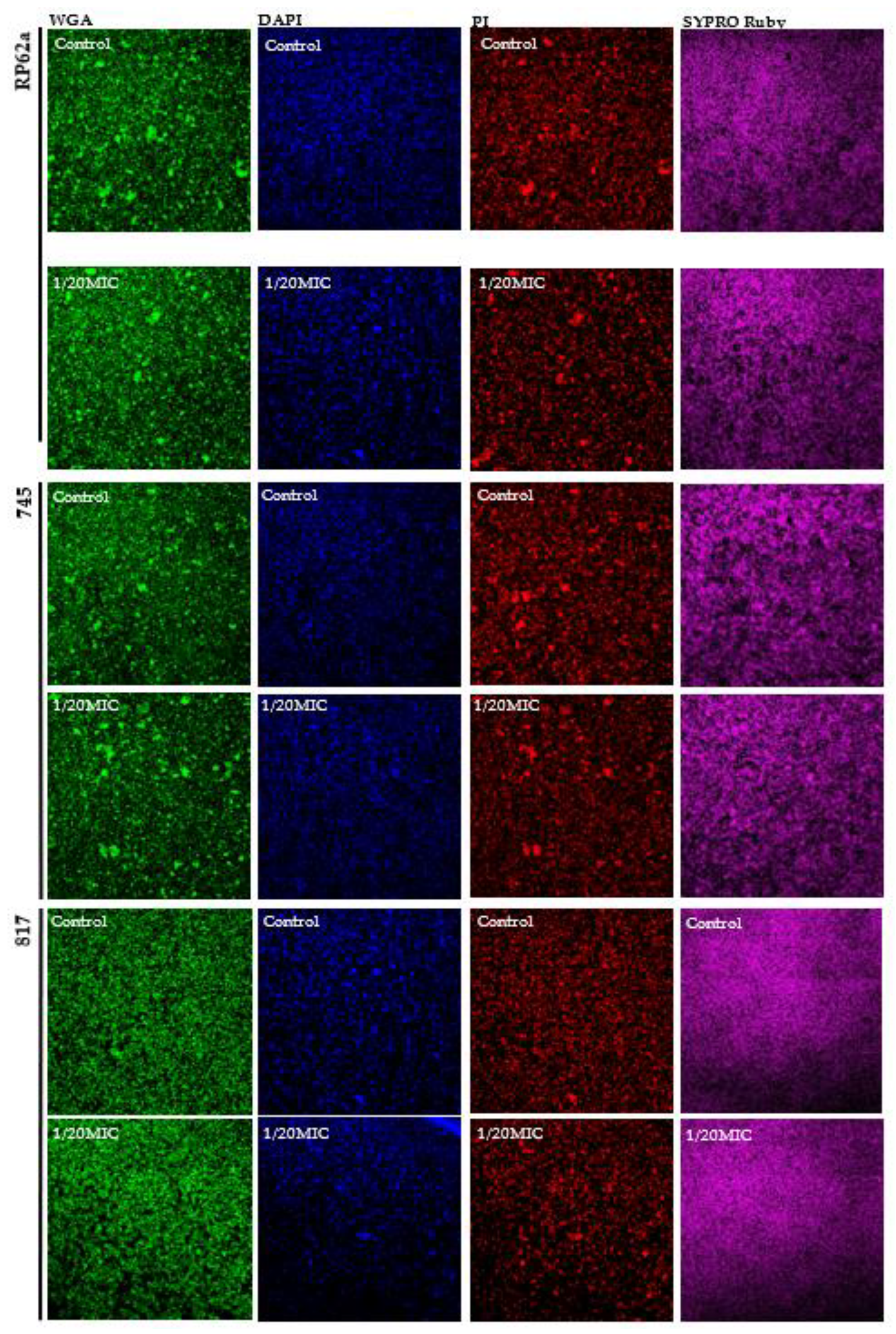 Ijms 23 01816 g009 550