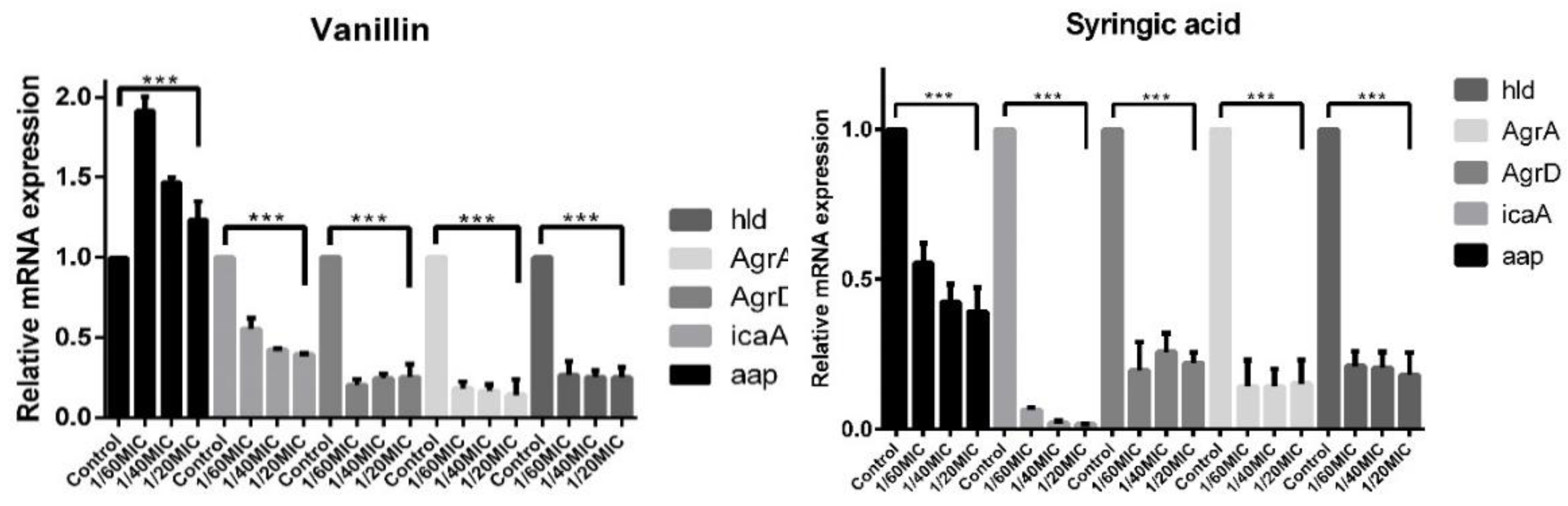 Ijms 23 01816 g010 550
