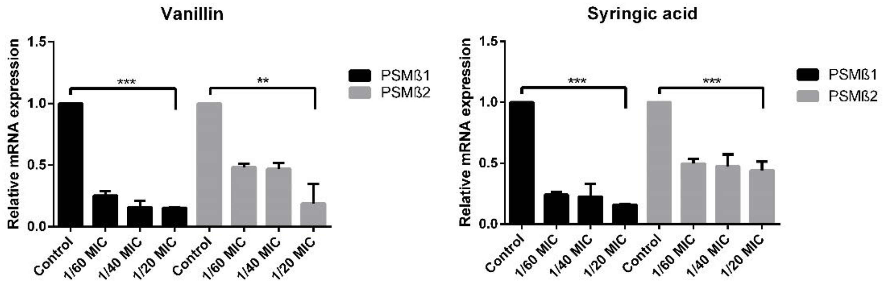 Ijms 23 01816 g011 550