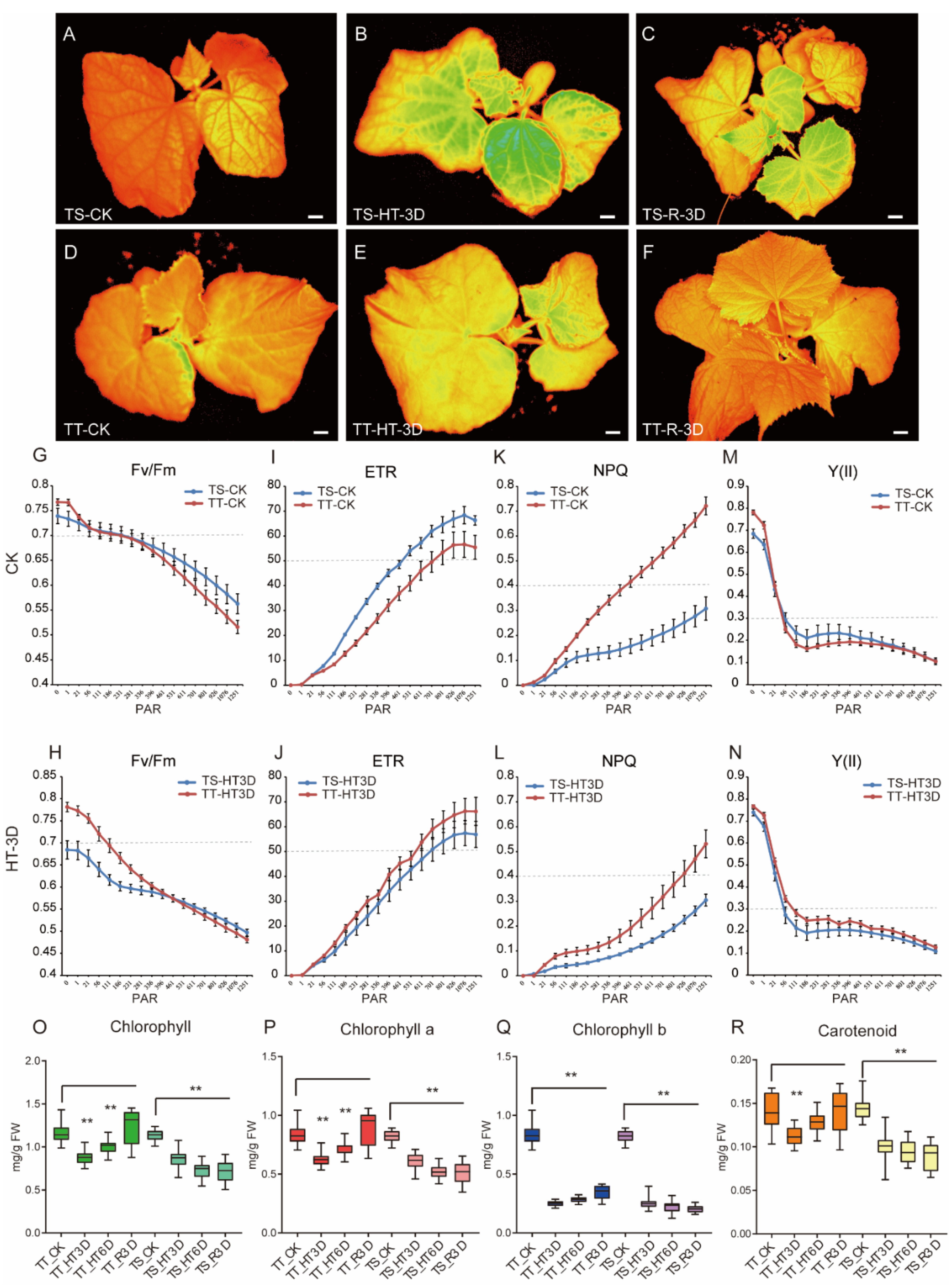 Ijms 23 01817 g002 550