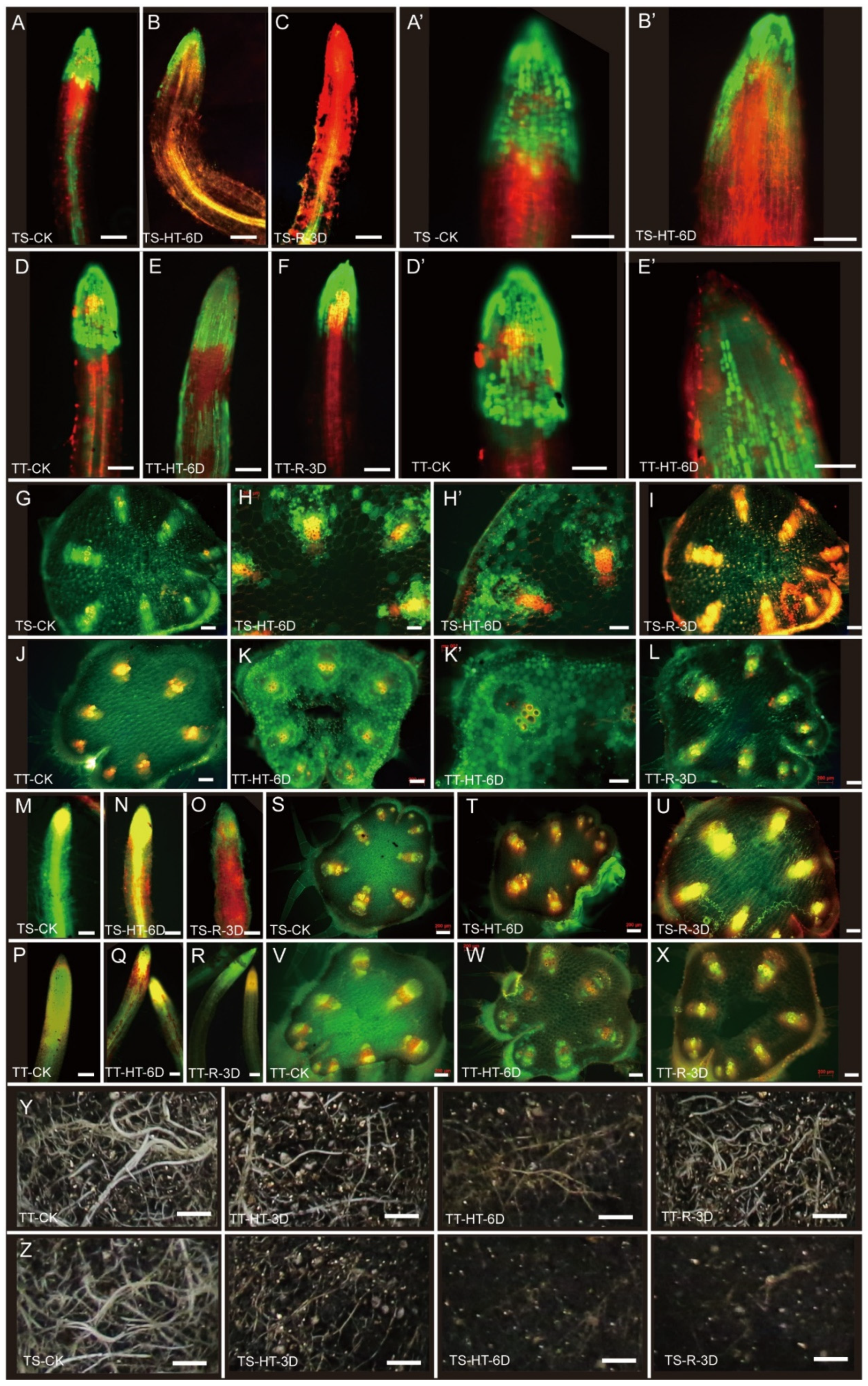 Ijms 23 01817 g003 550