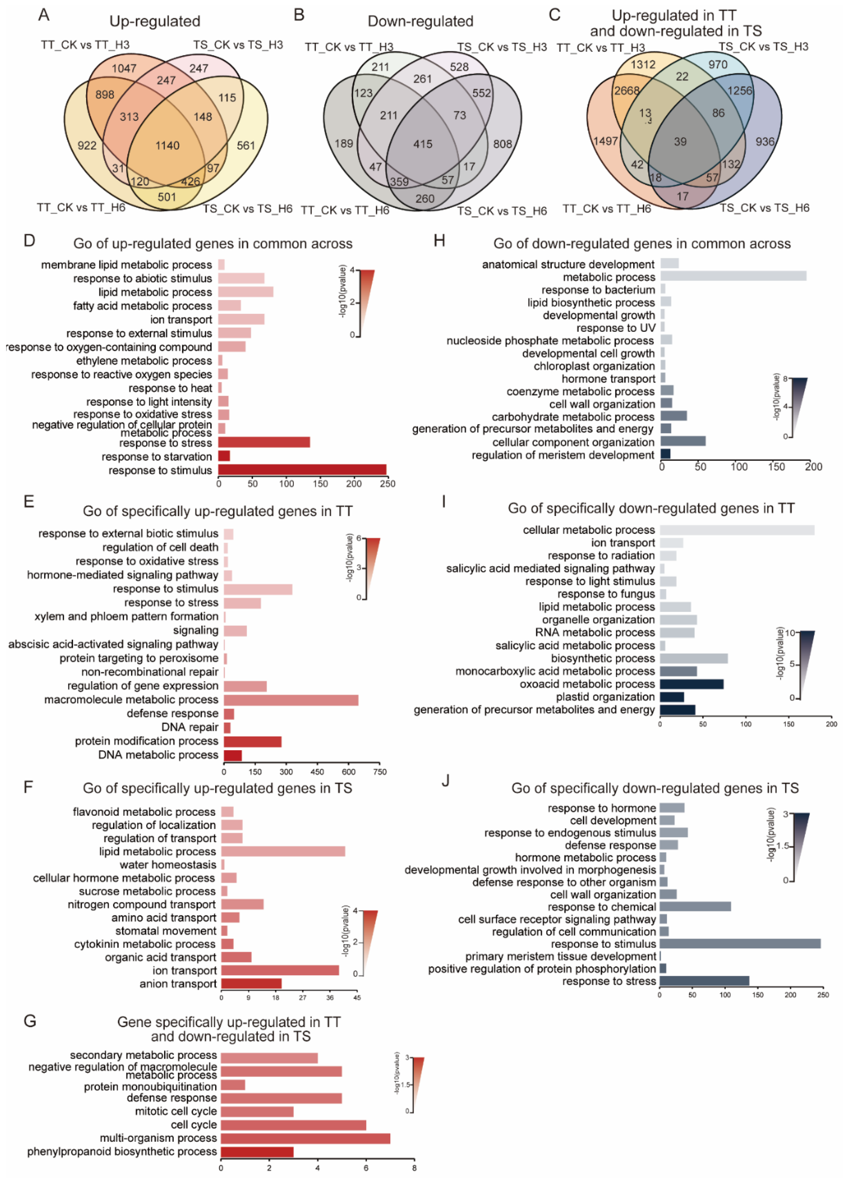 Ijms 23 01817 g005 550
