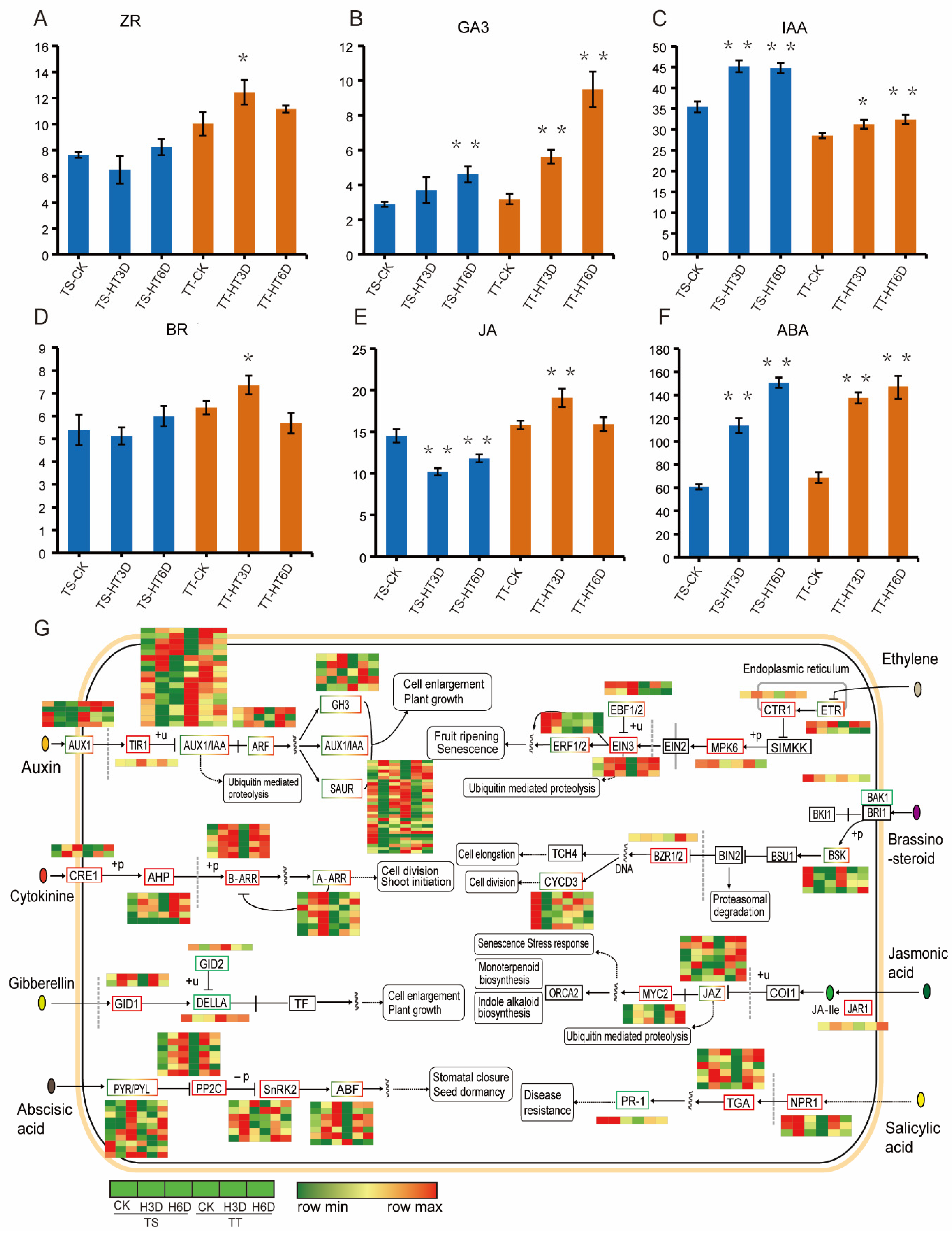 Ijms 23 01817 g006 550