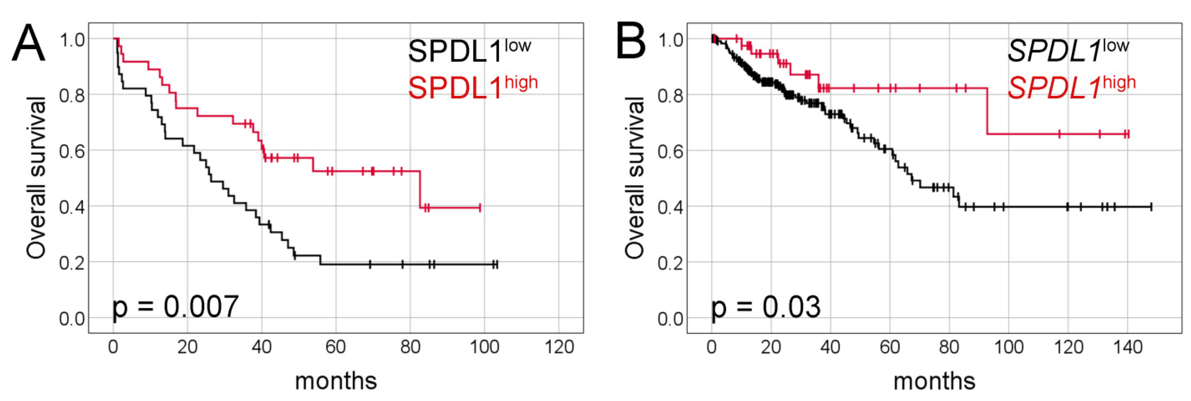 Ijms 23 01819 g002 550