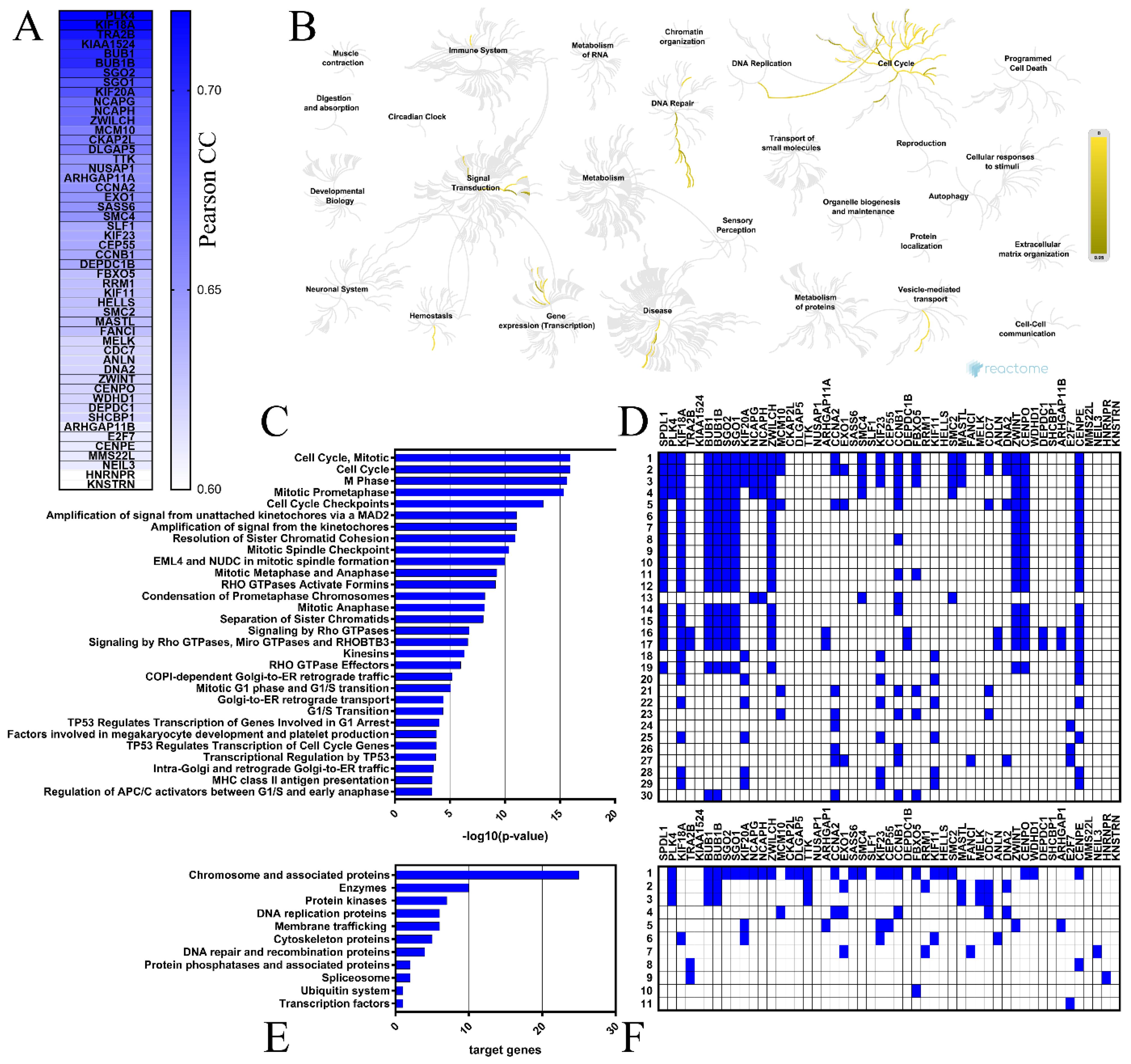 Ijms 23 01819 g004 550