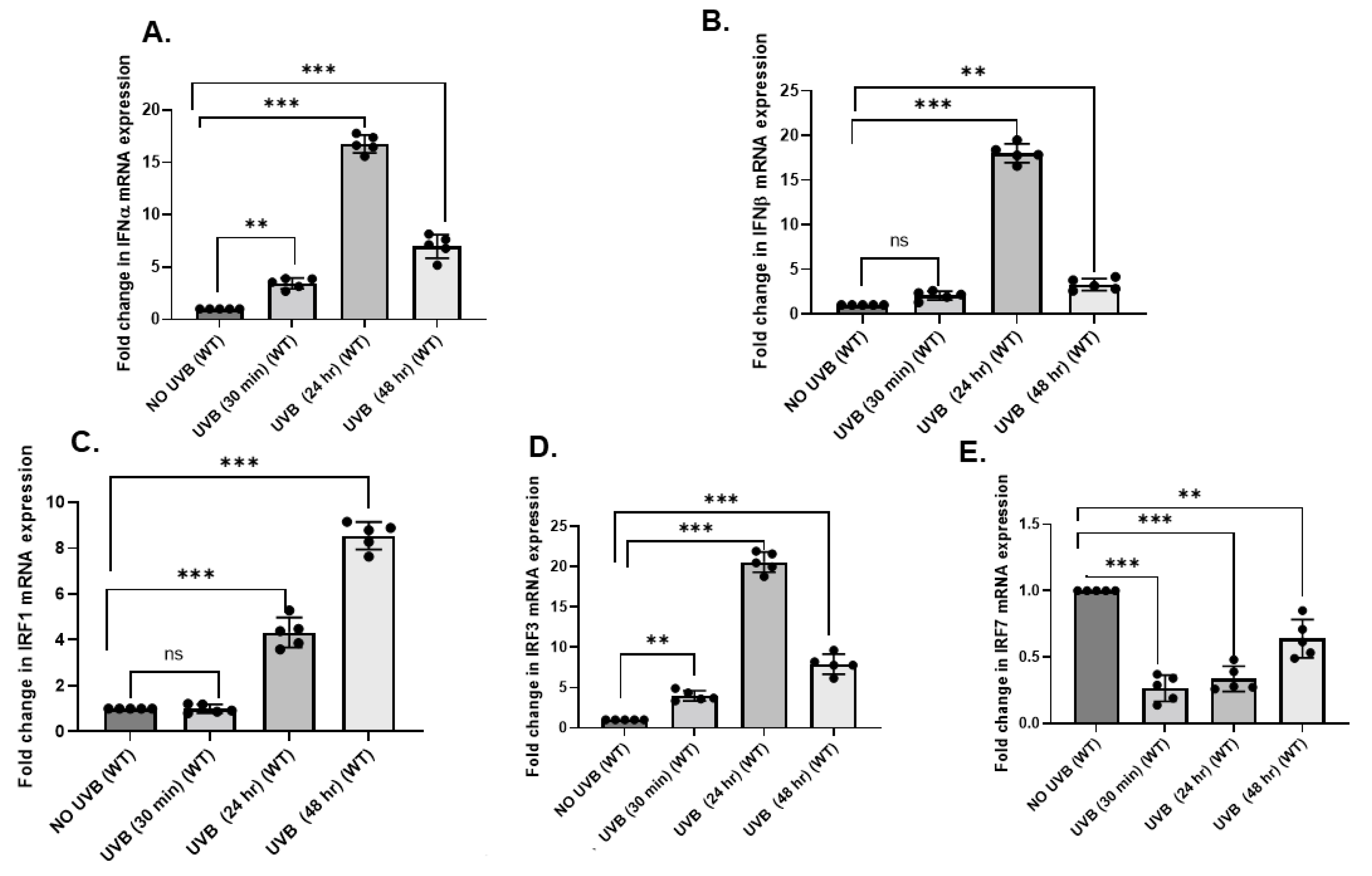 Ijms 23 01822 g001 Ijms 23 01822 g001
