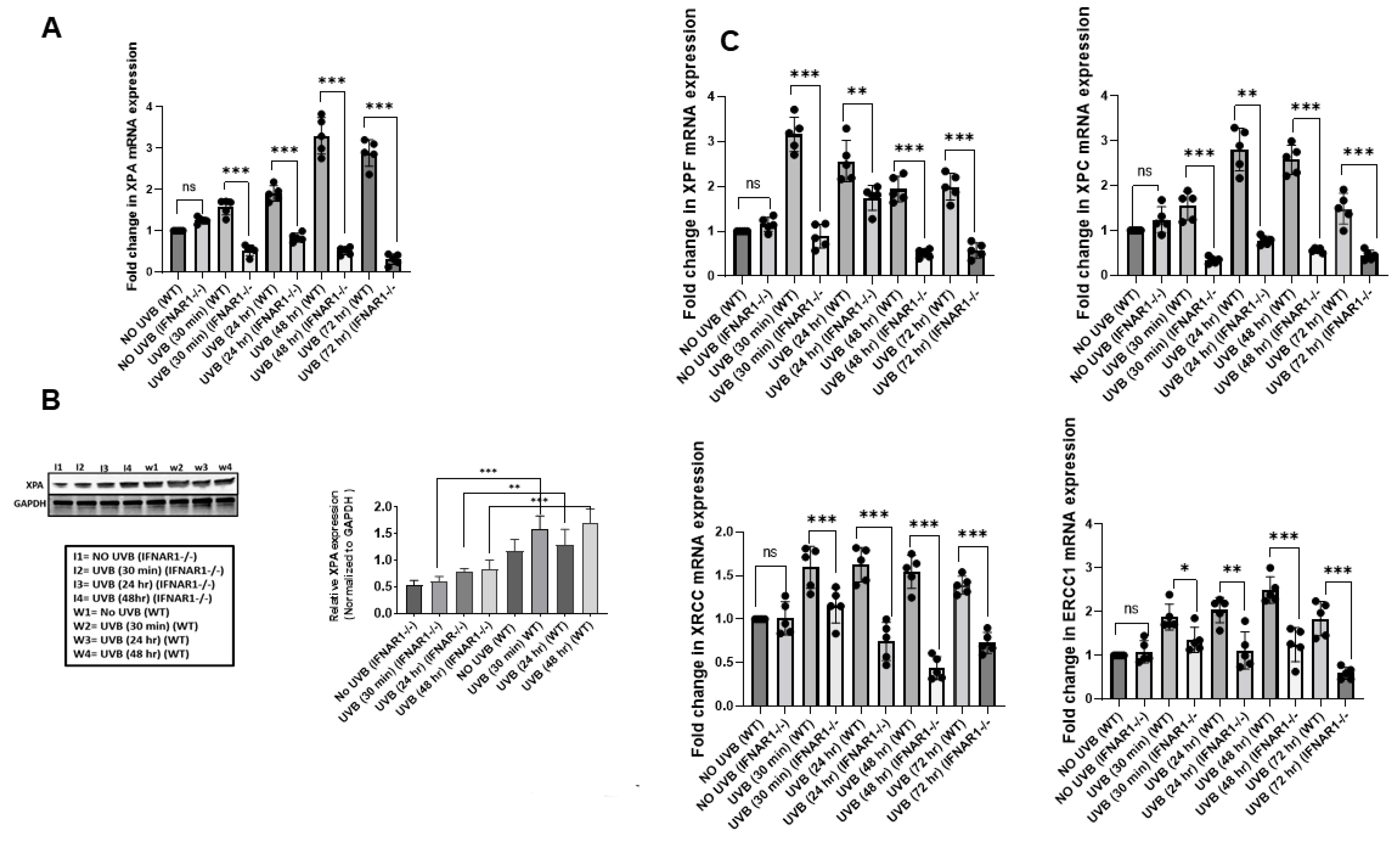 Ijms 23 01822 g004 Ijms 23 01822 g004