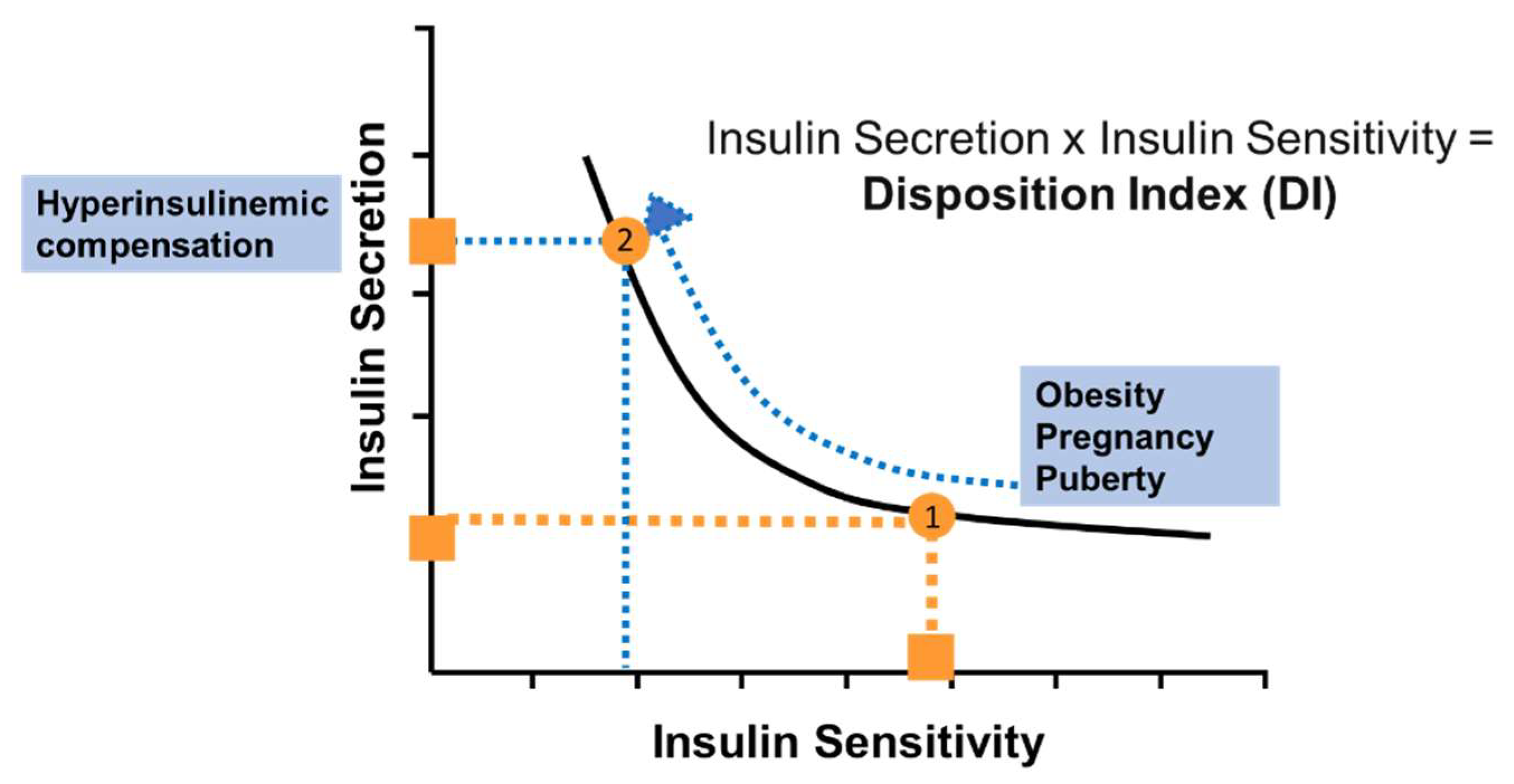 Insulin sensitivity and insulin secretion