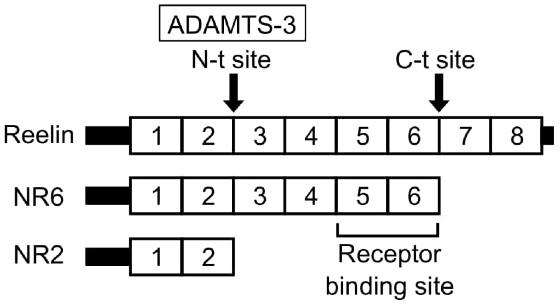 Ijms 23 01829 g001