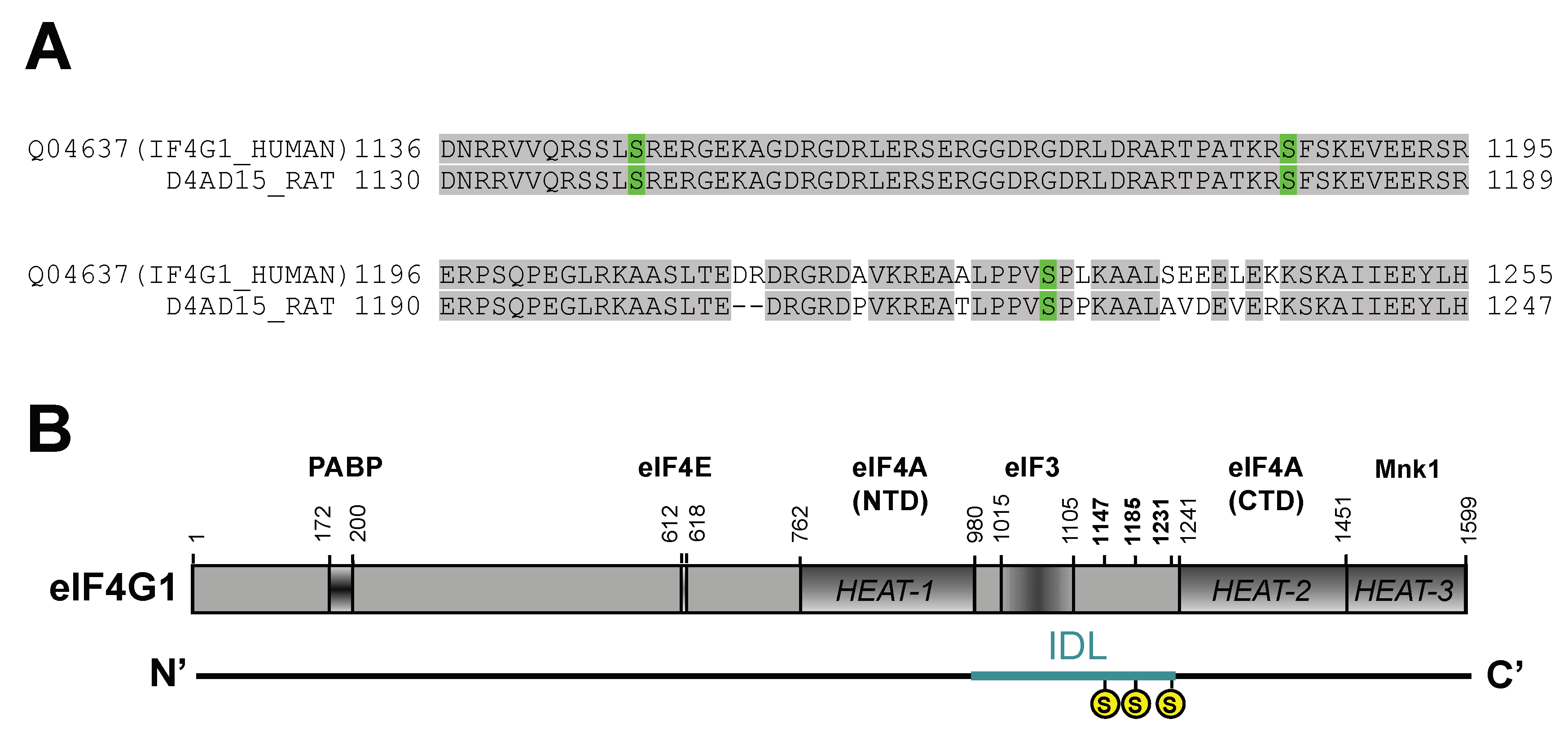 Ijms 23 01830 g001 Ijms 23 01830 g001