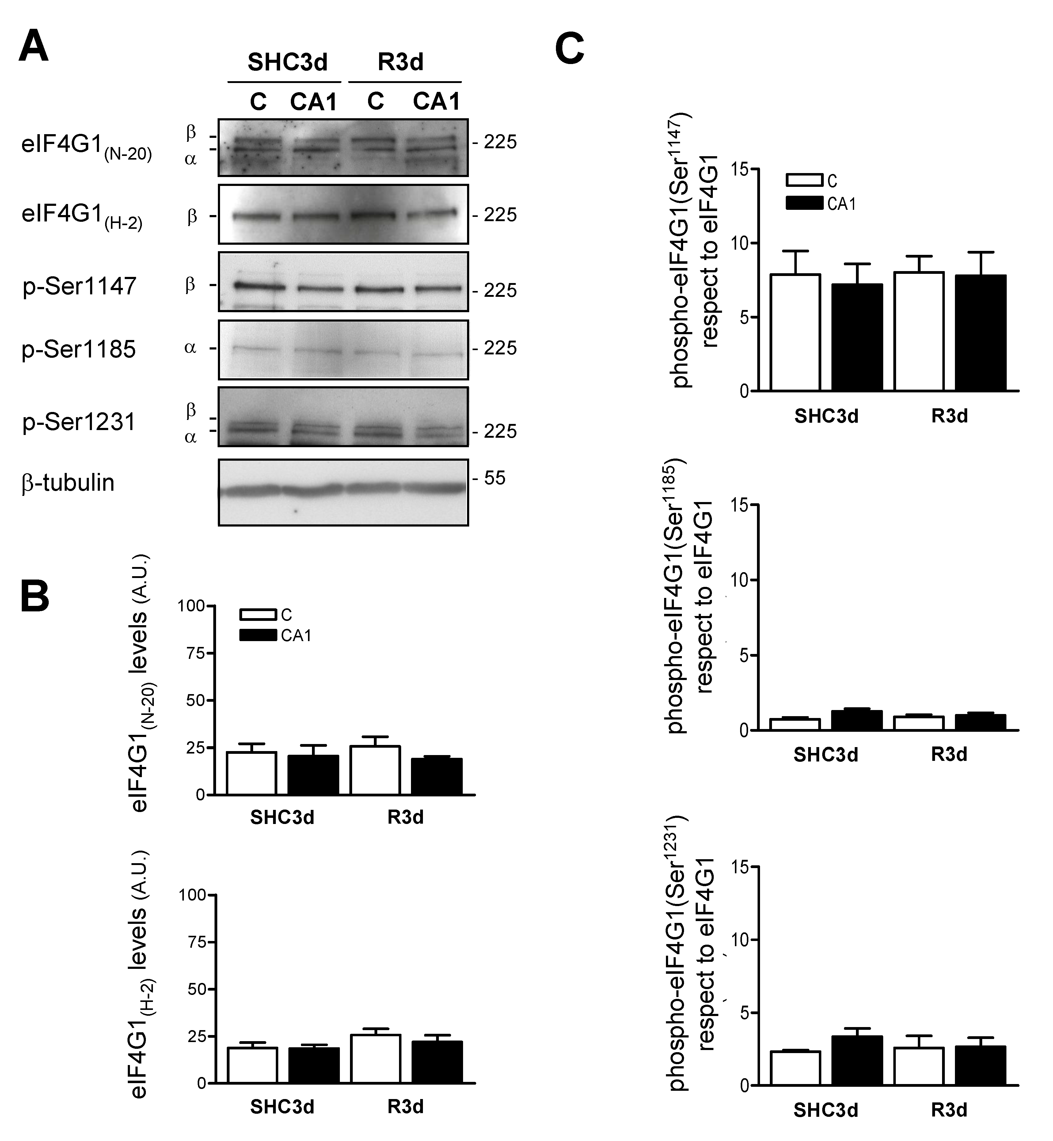 Ijms 23 01830 g002 Ijms 23 01830 g002