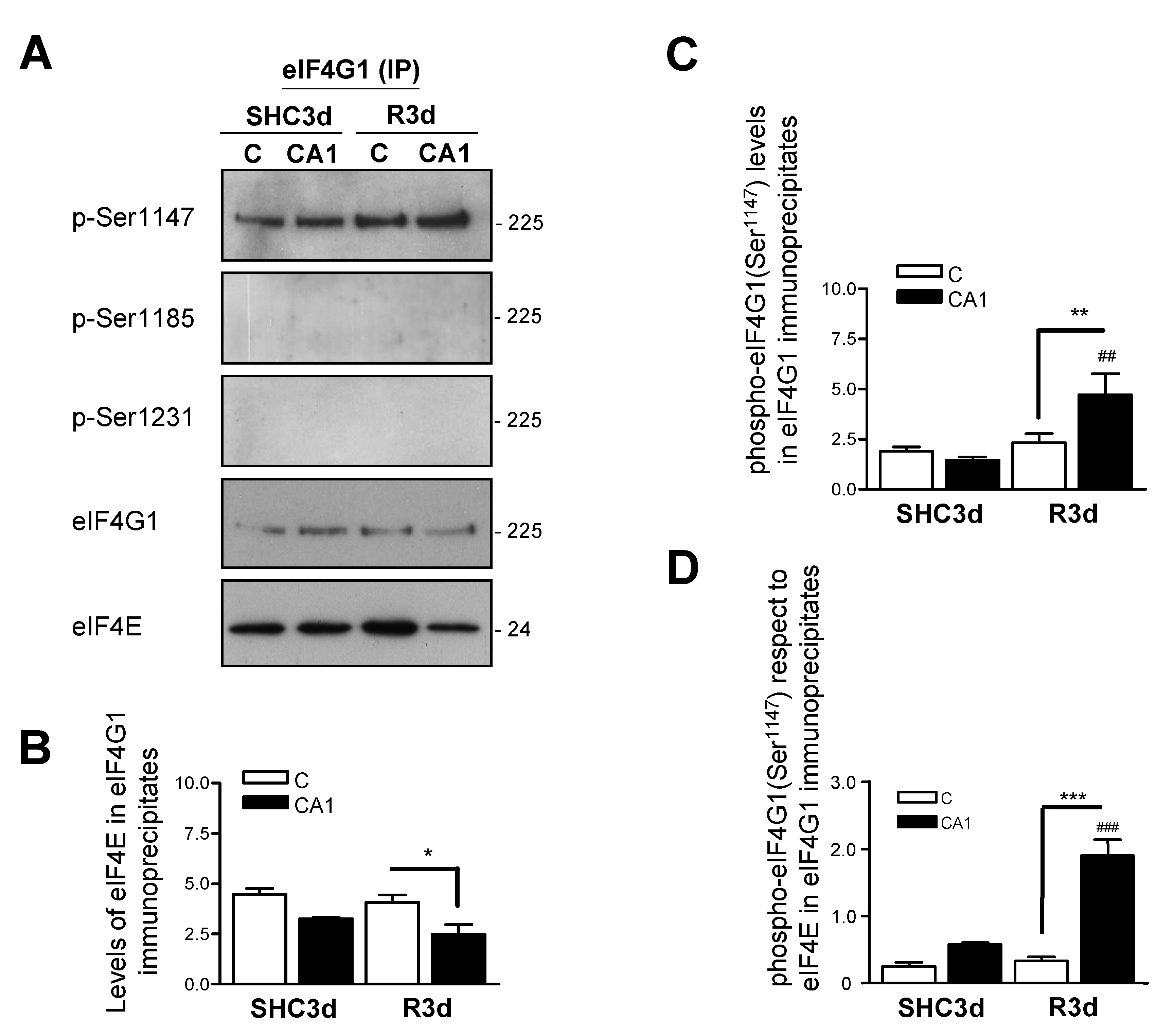 Ijms 23 01830 g004 Ijms 23 01830 g004
