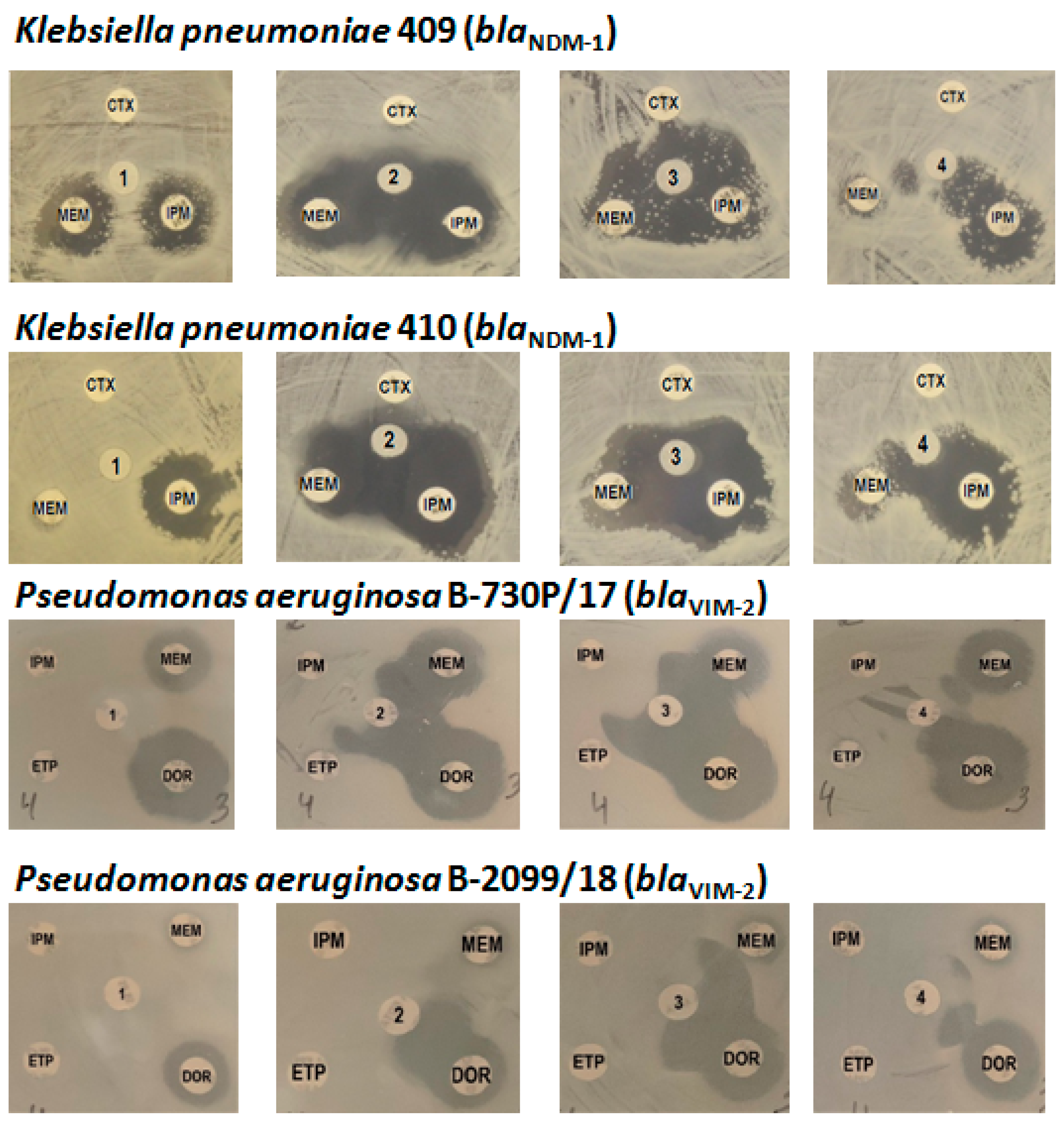 Ijms 23 01834 g005 550