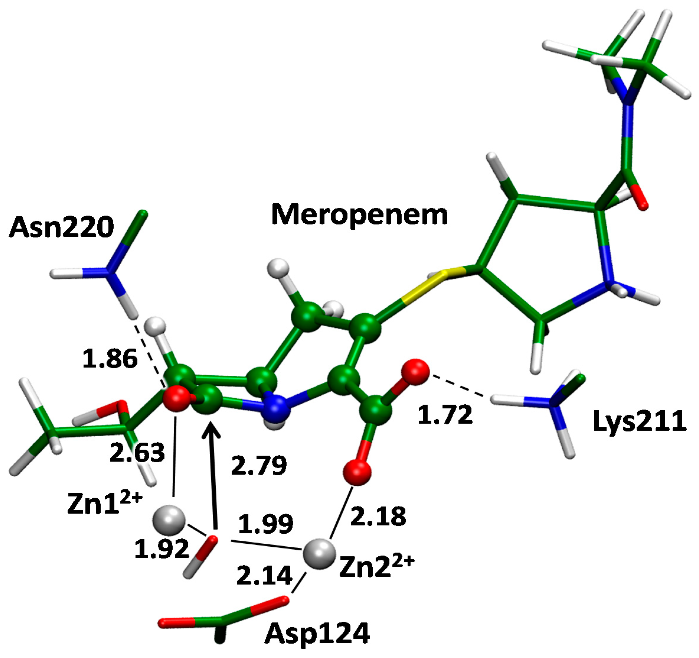 Ijms 23 01834 g007 550