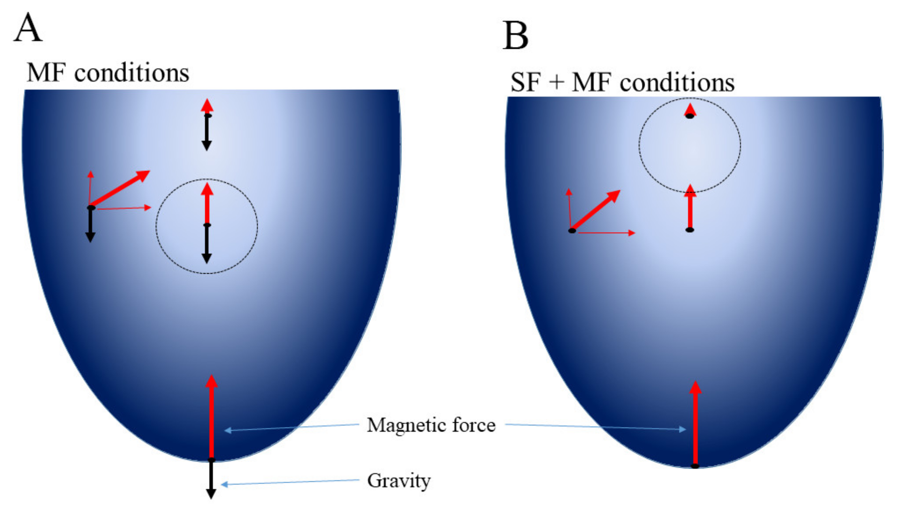 Ijms 23 01837 g005 Ijms 23 01837 g005