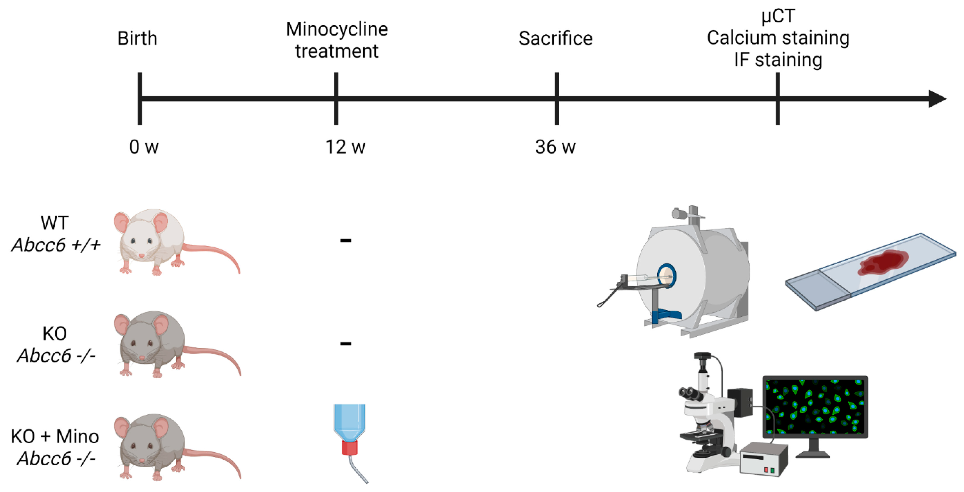 Ijms 23 01838 g001 550