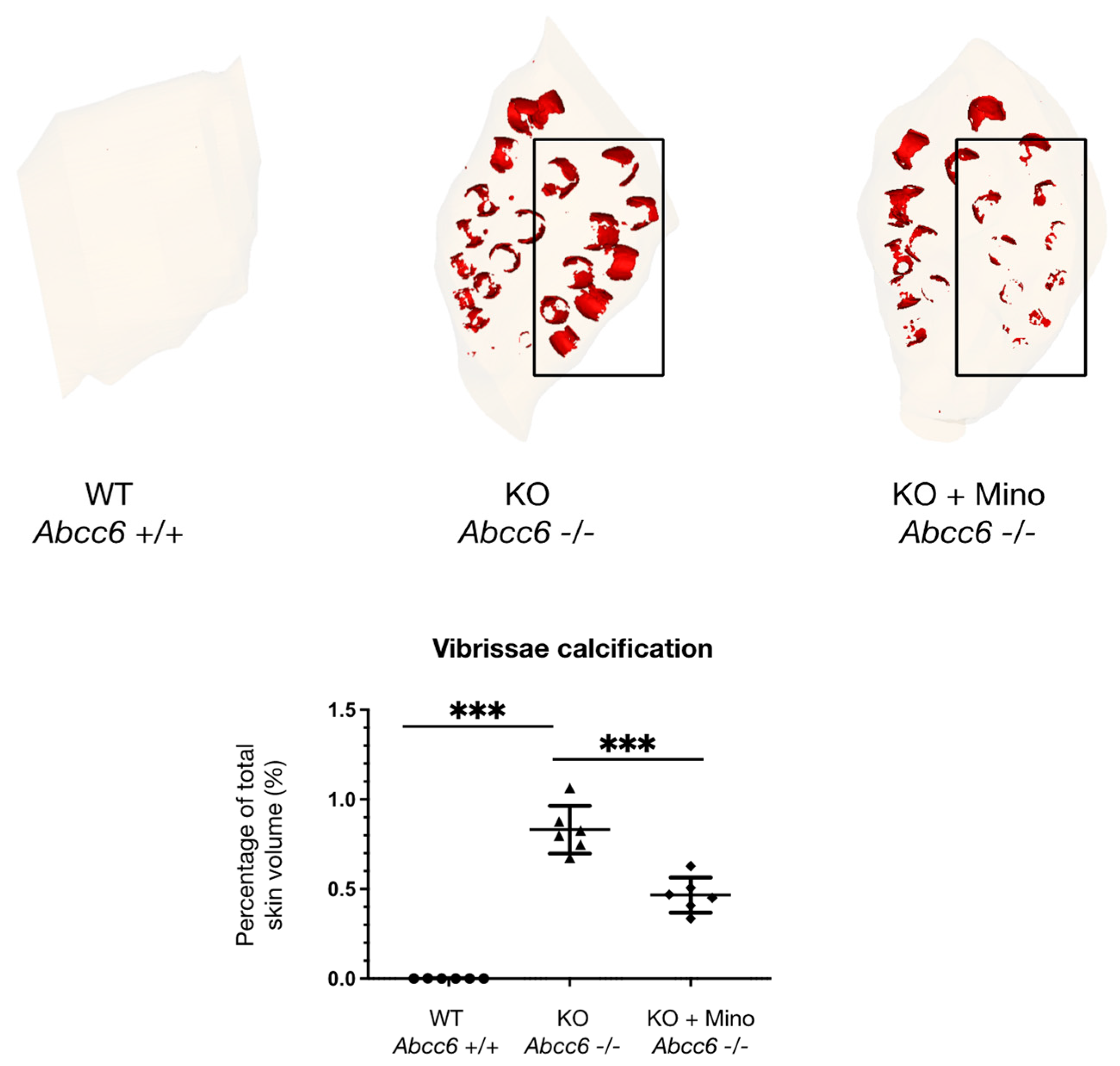 Ijms 23 01838 g003 550