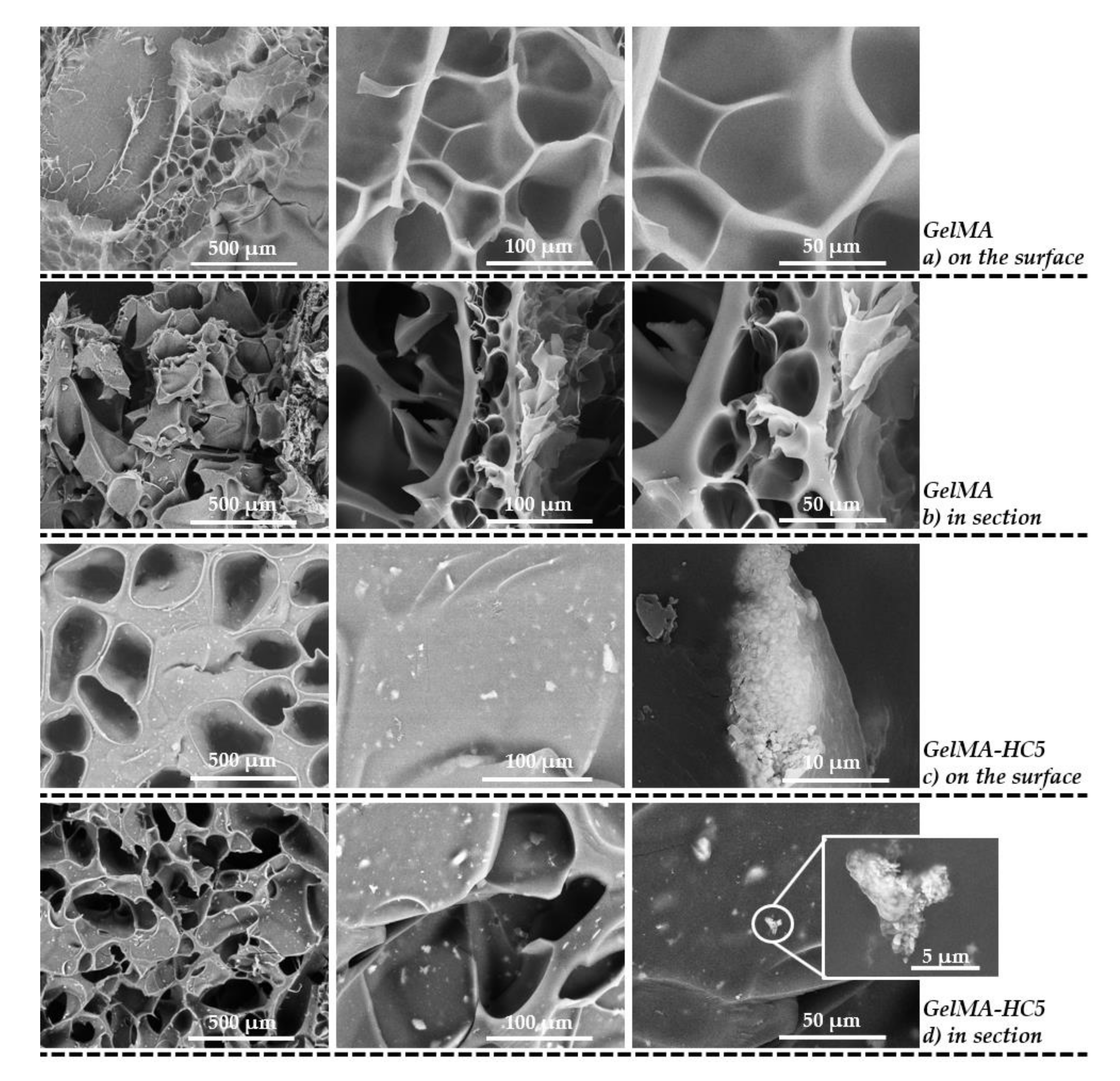 Ijms 23 01841 g005 550