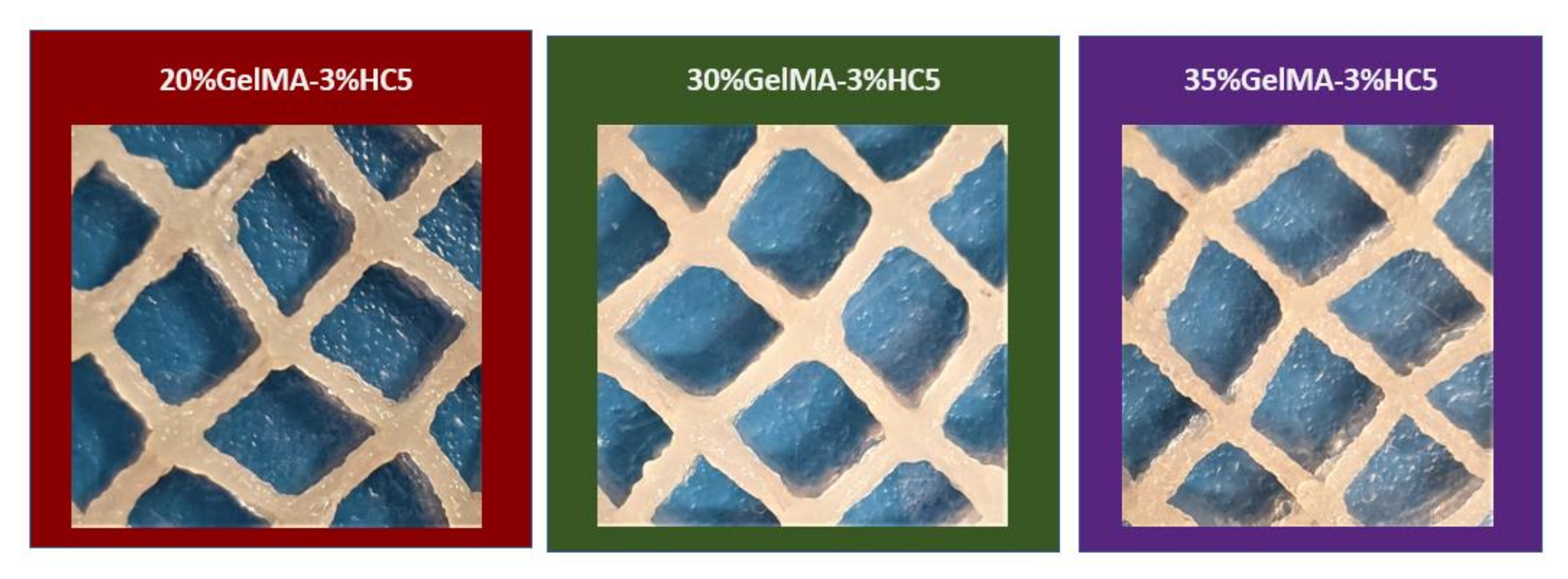 Ijms 23 01841 g008 550