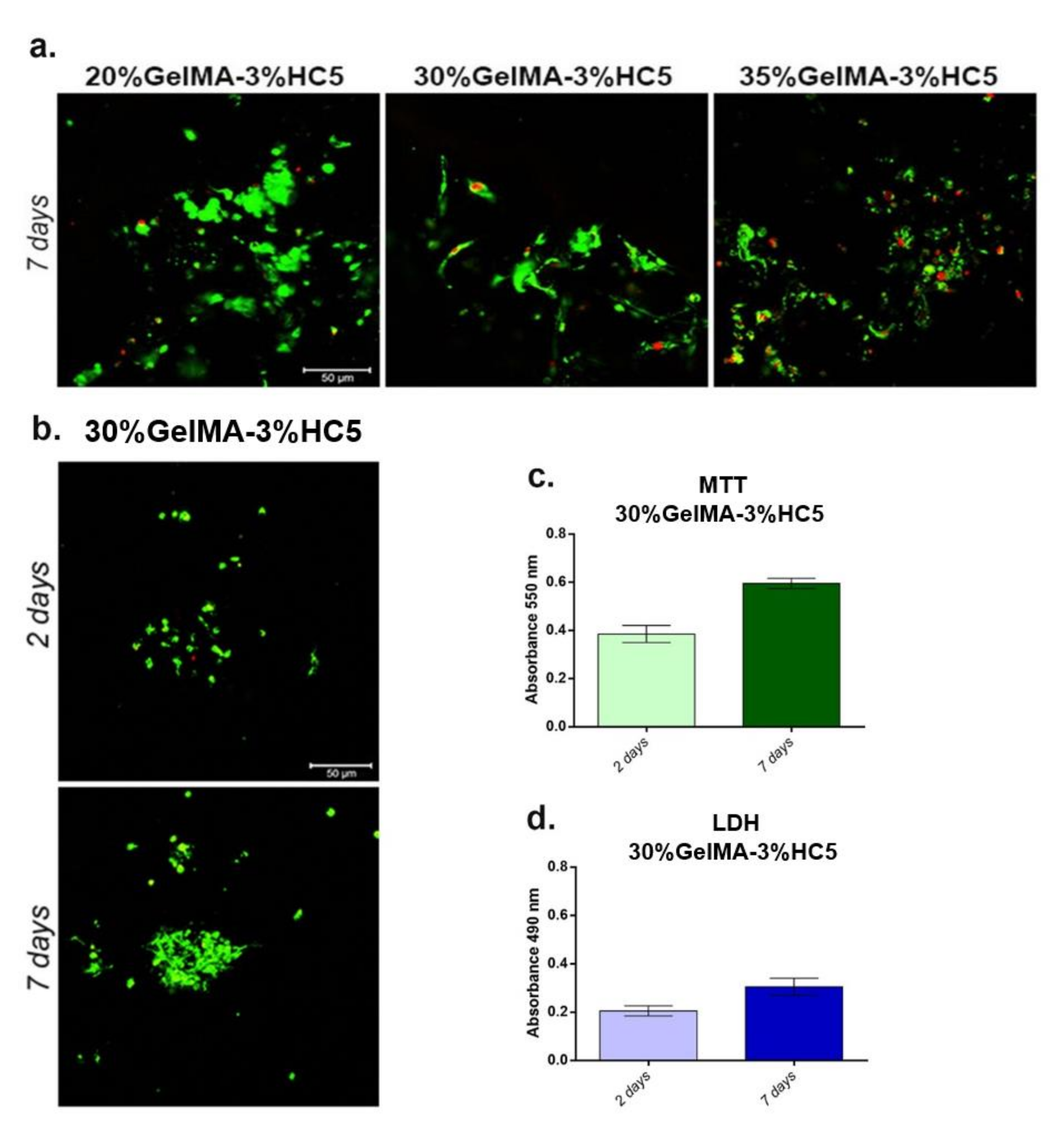 Ijms 23 01841 g012 550