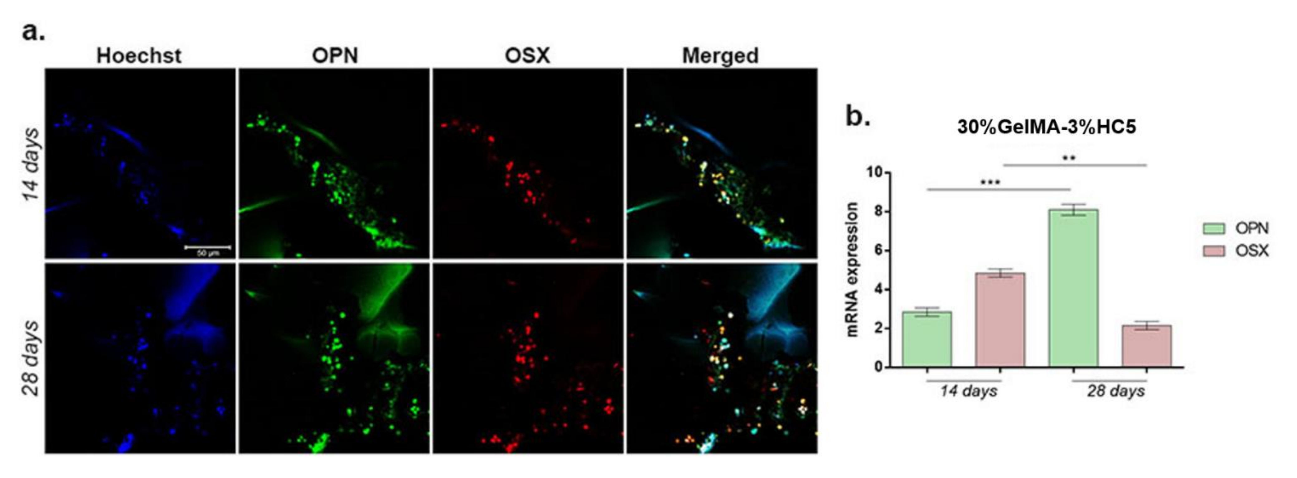 Ijms 23 01841 g013 550