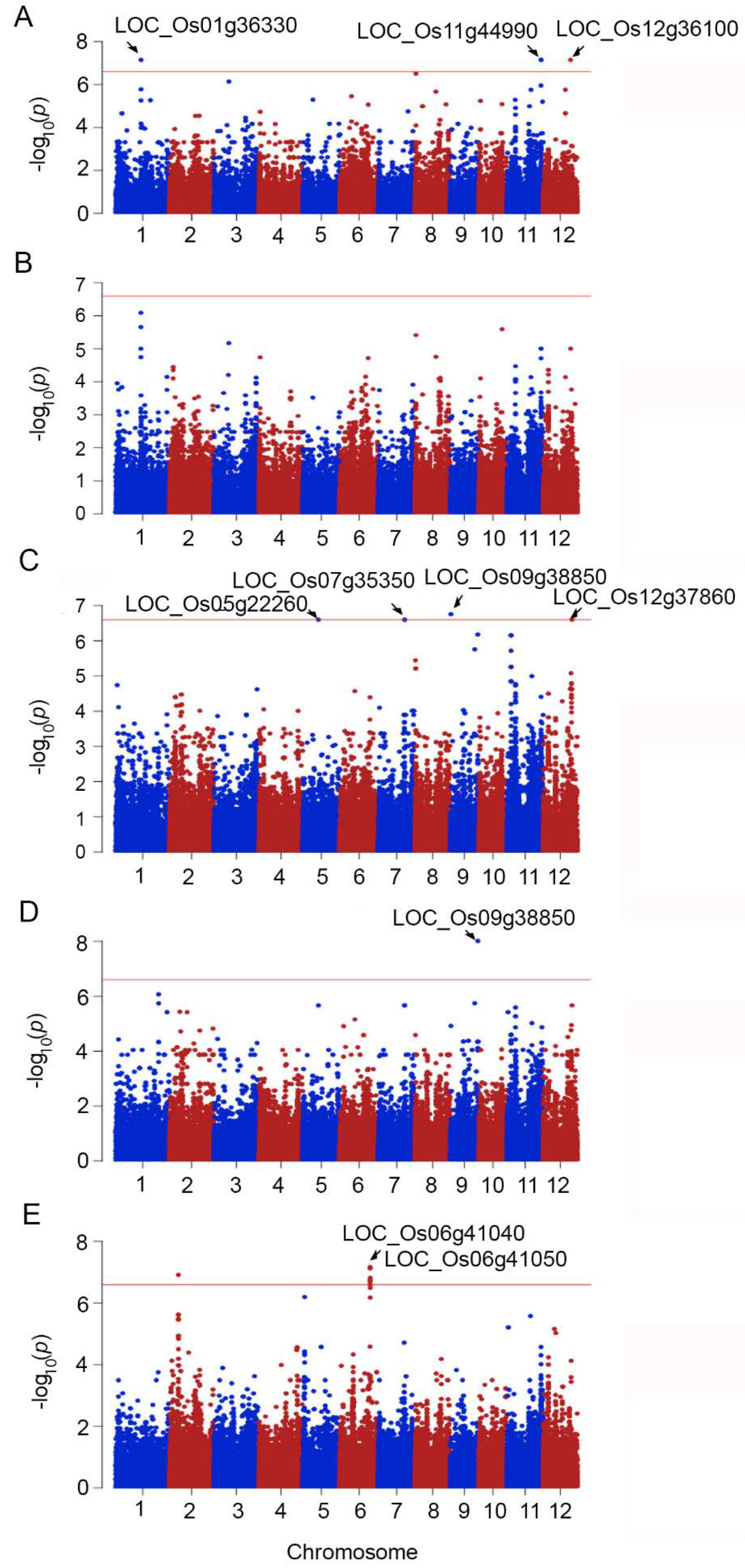 Ijms 23 01842 g002 550