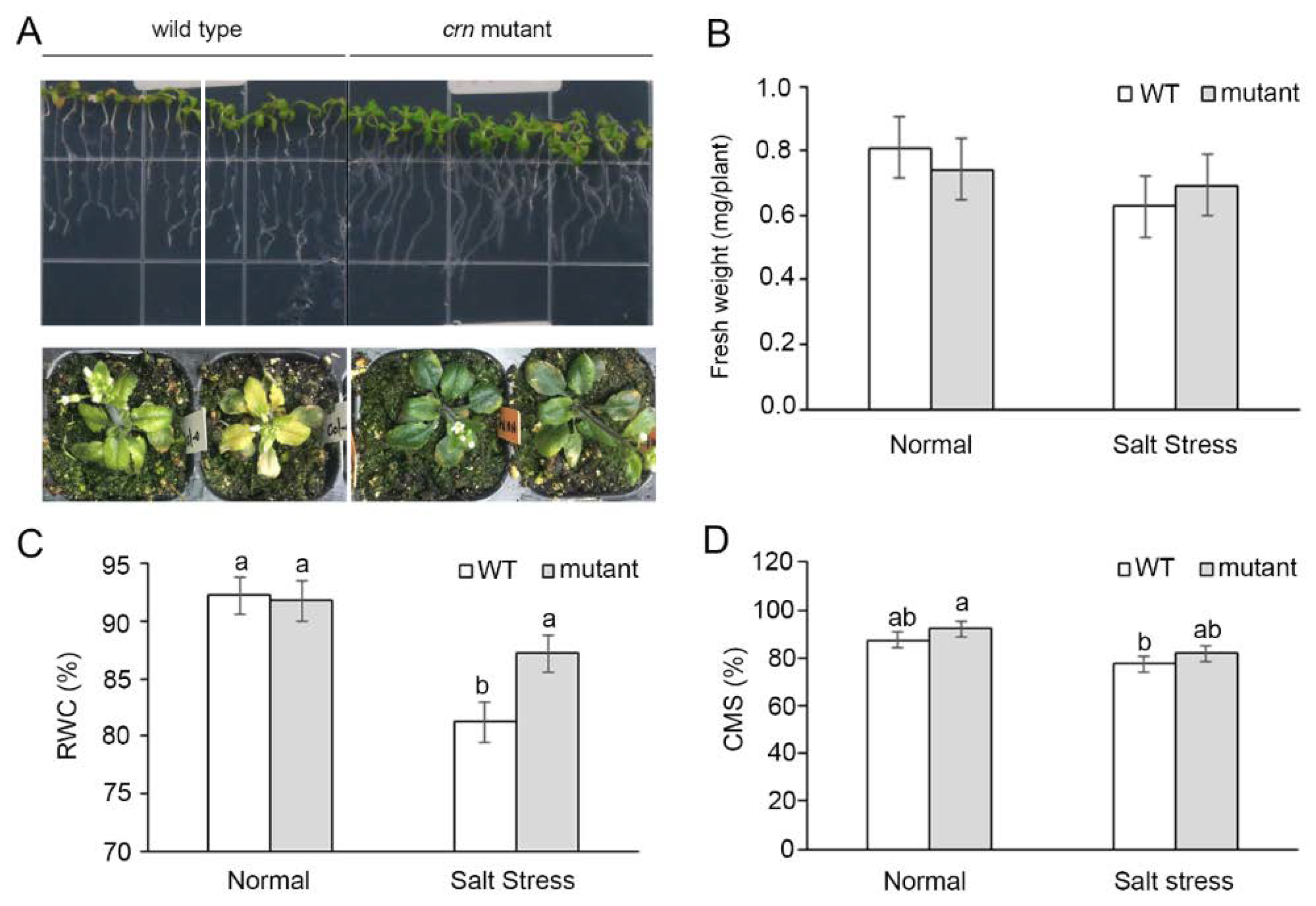 Ijms 23 01842 g005 550