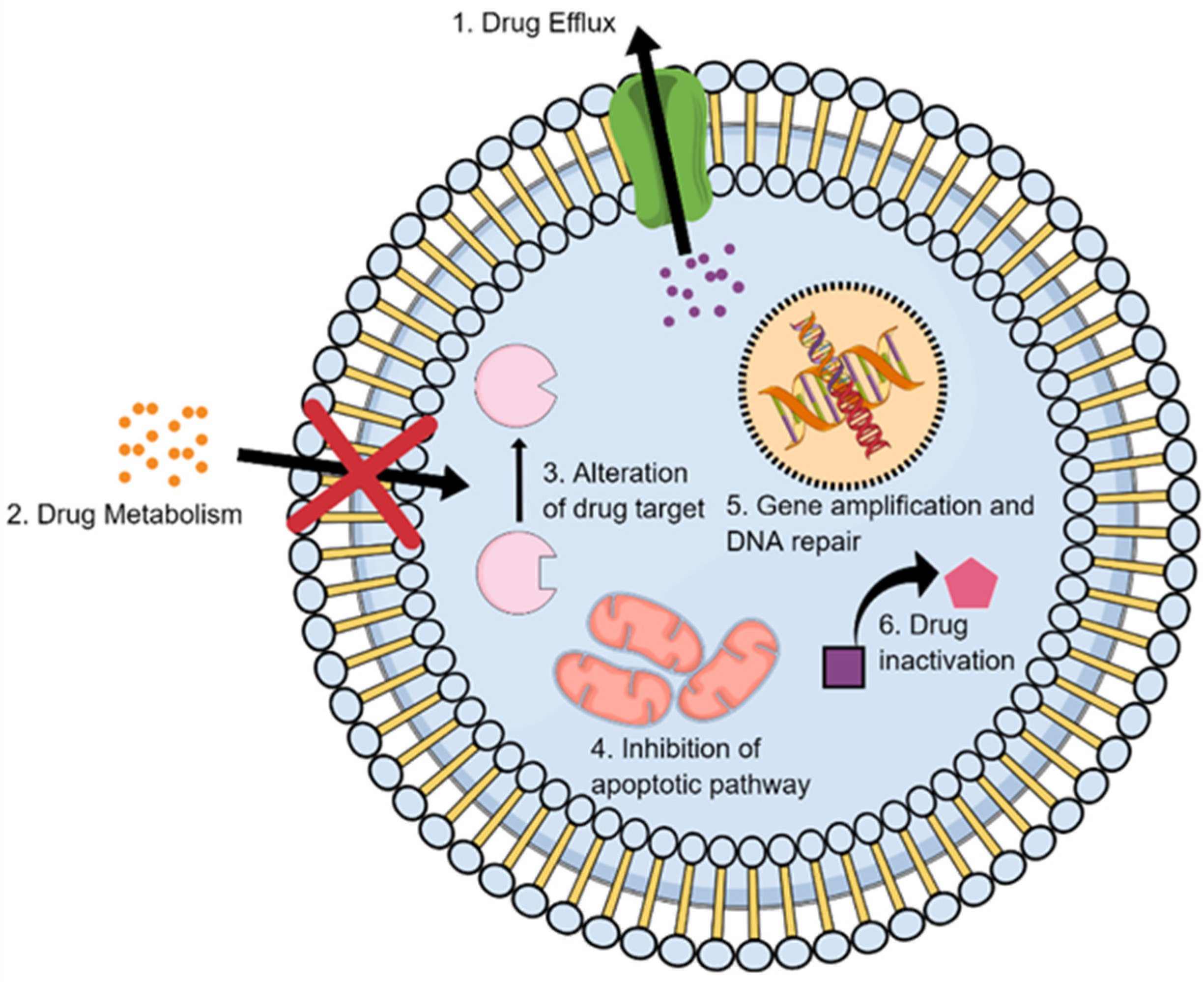 Ijms 23 01853 g004 Ijms 23 01853 g004