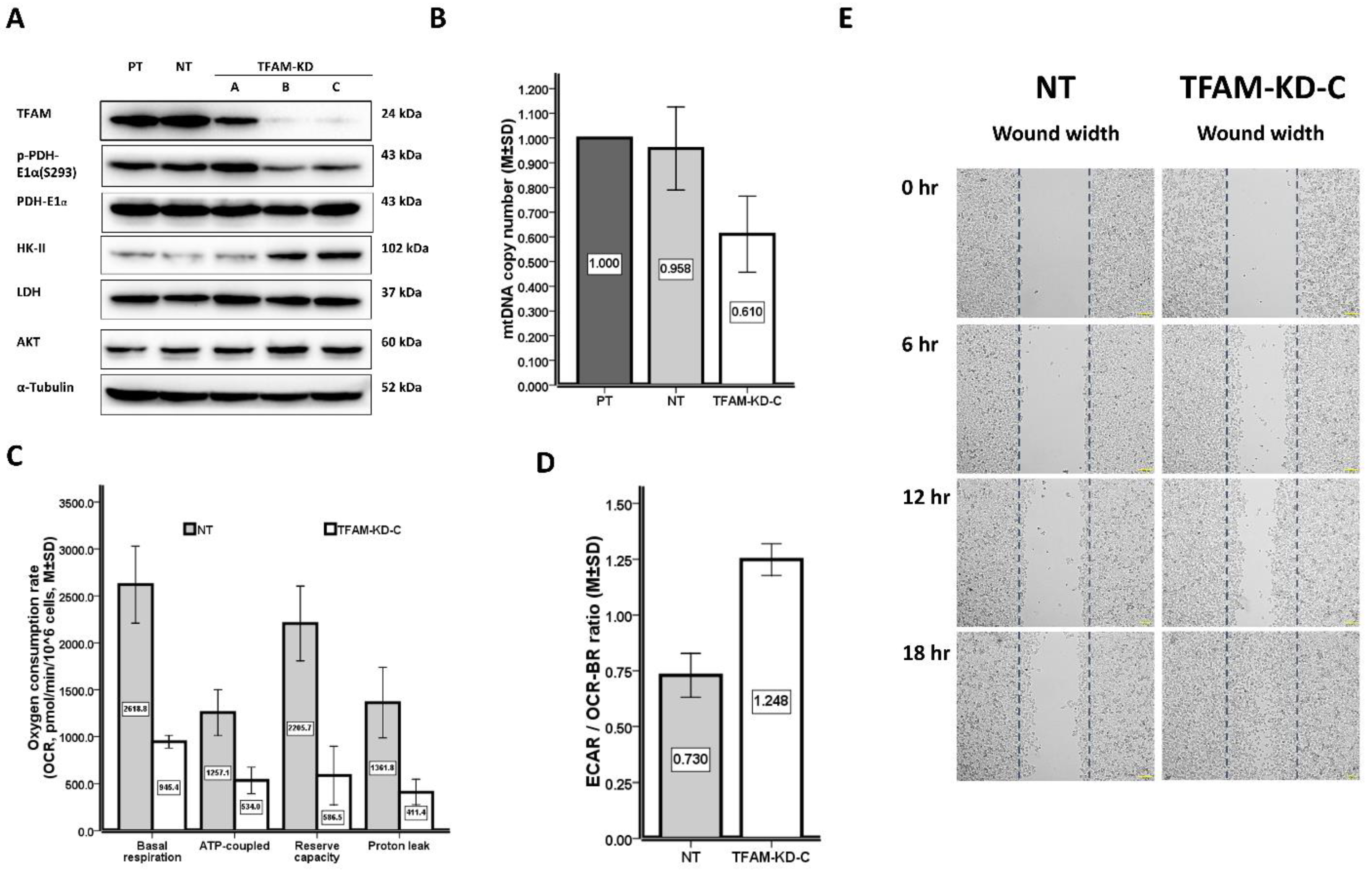 Ijms 23 01857 g002 550