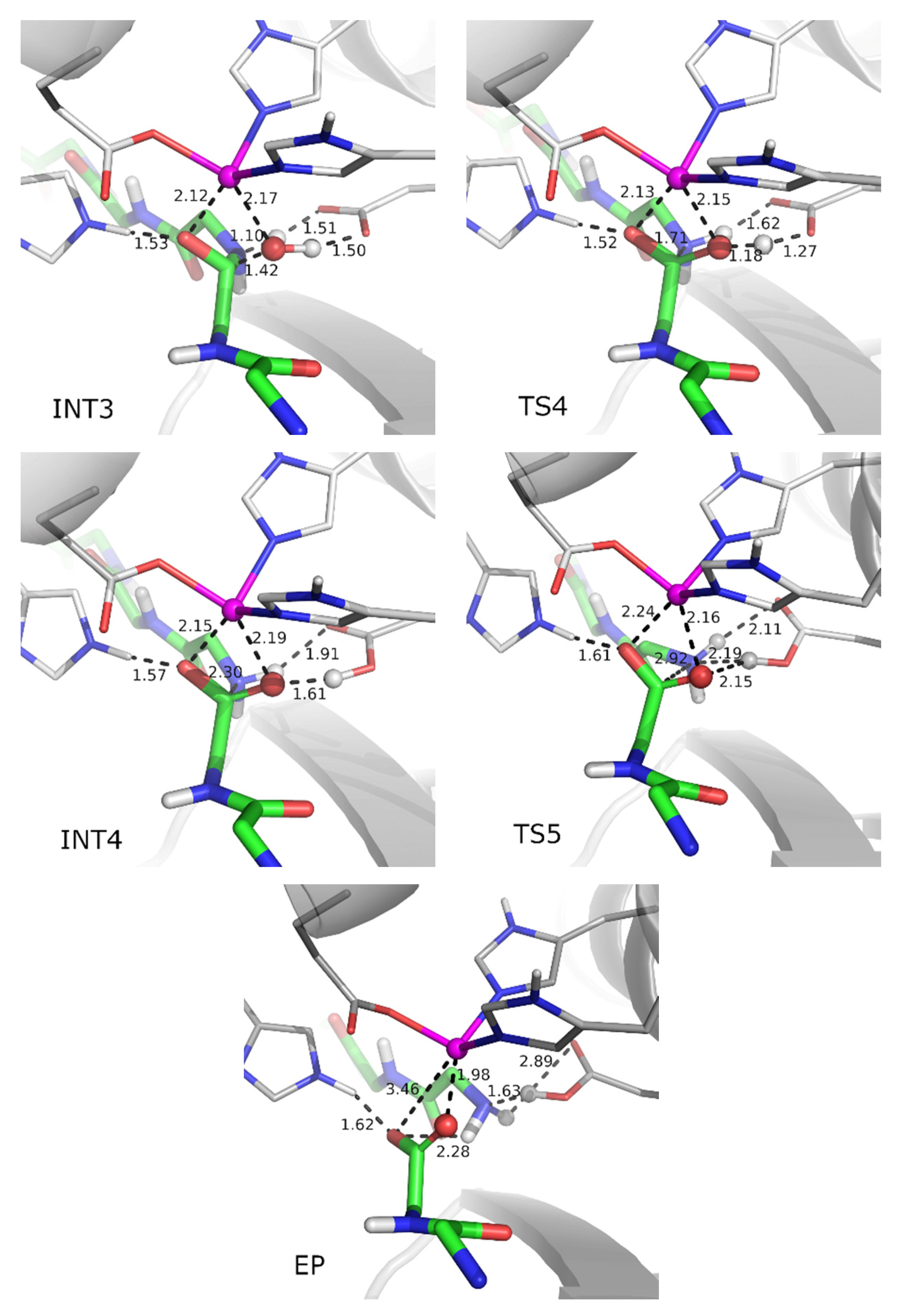 Ijms 23 01858 g003b 550