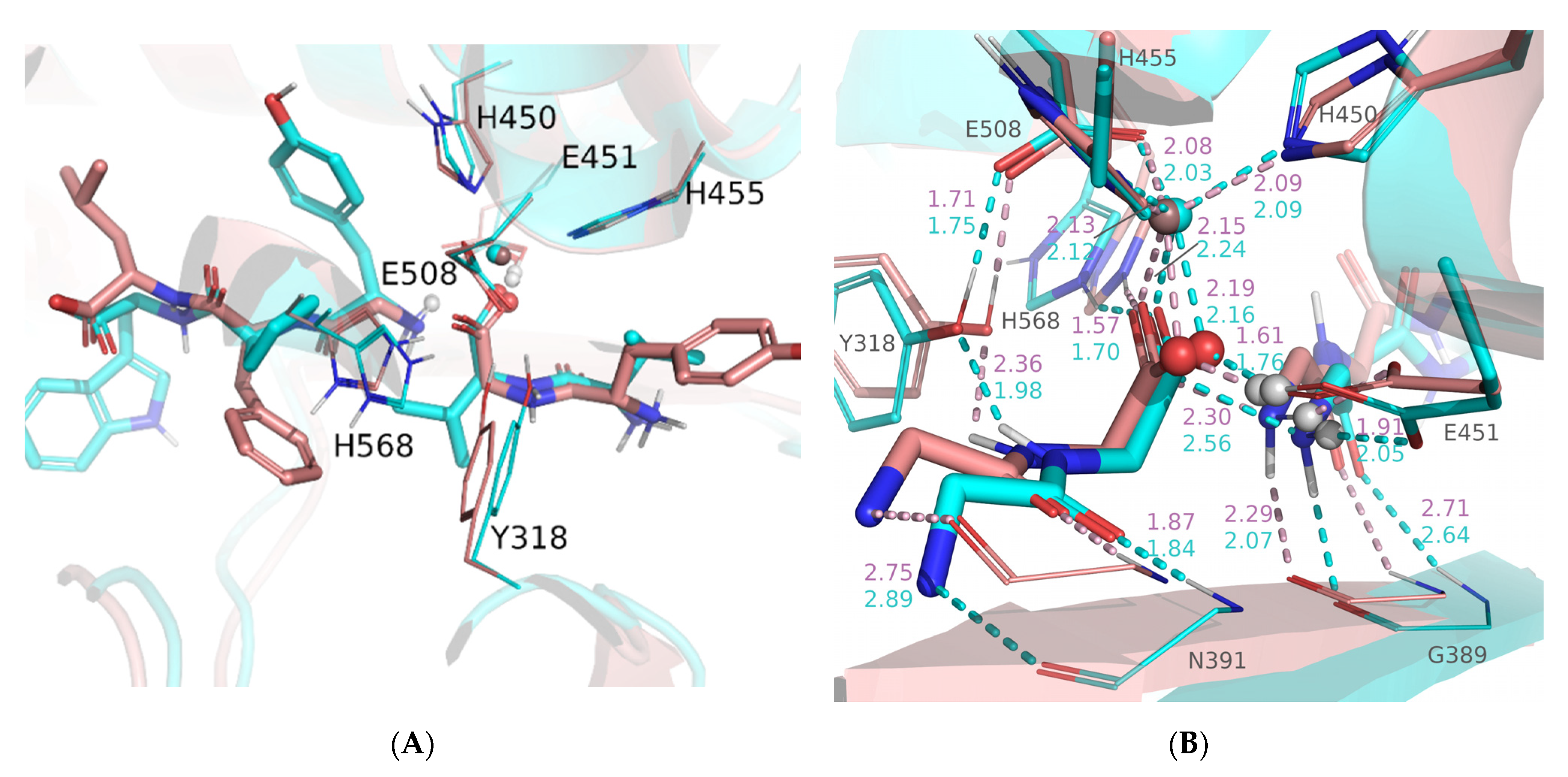 Ijms 23 01858 g004 550