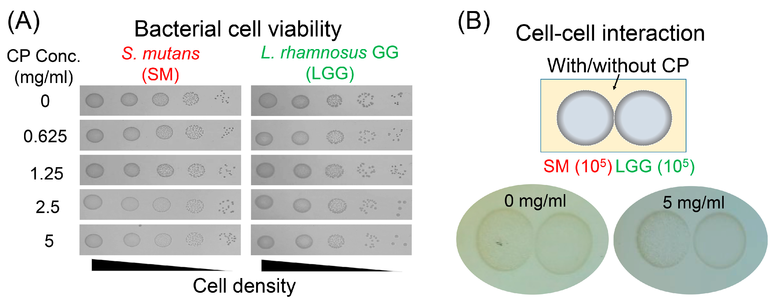 Ijms 23 01860 g001 550