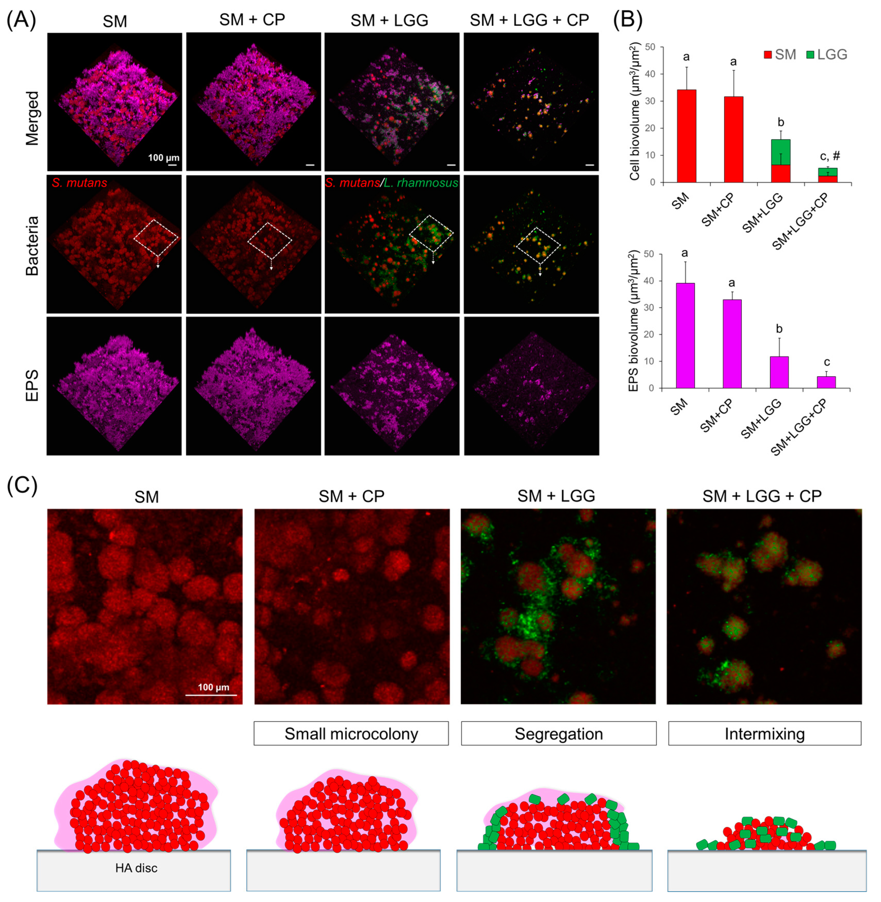 Ijms 23 01860 g005 550
