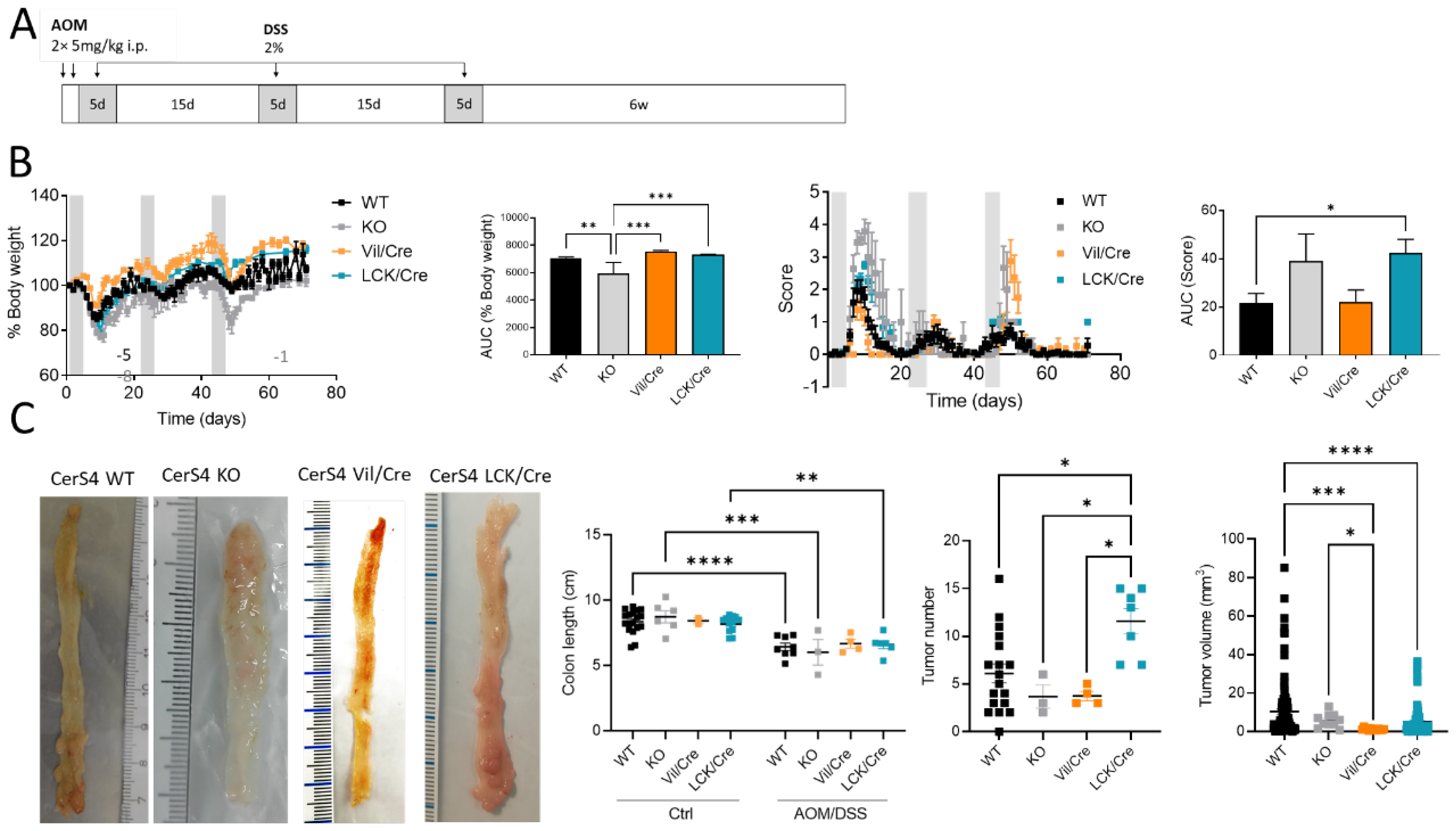Ijms 23 01866 g001 550