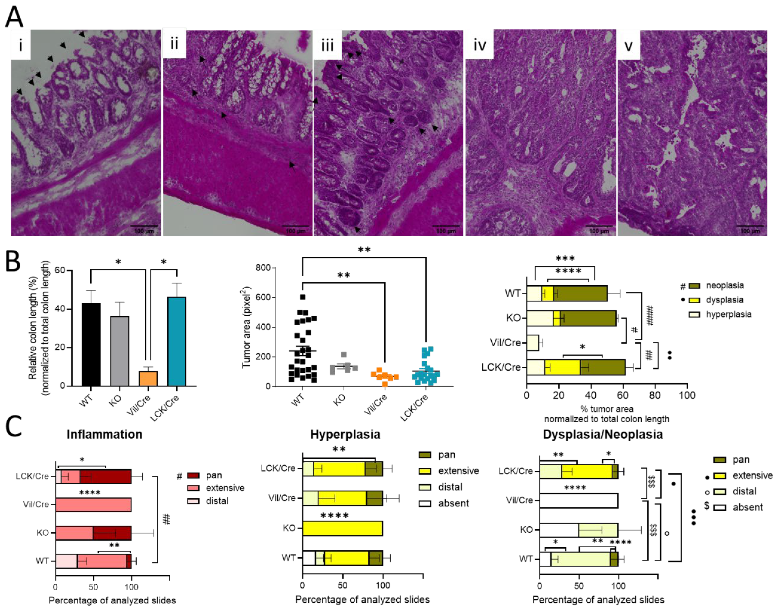 Ijms 23 01866 g002 550