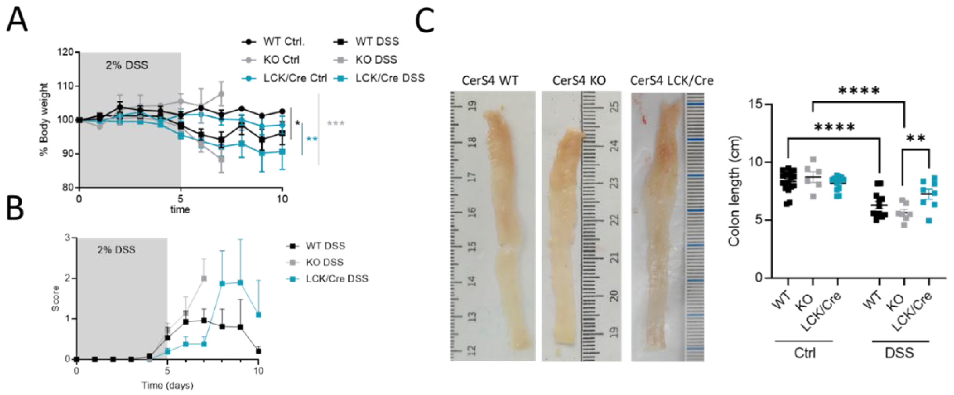 Ijms 23 01866 g003 550